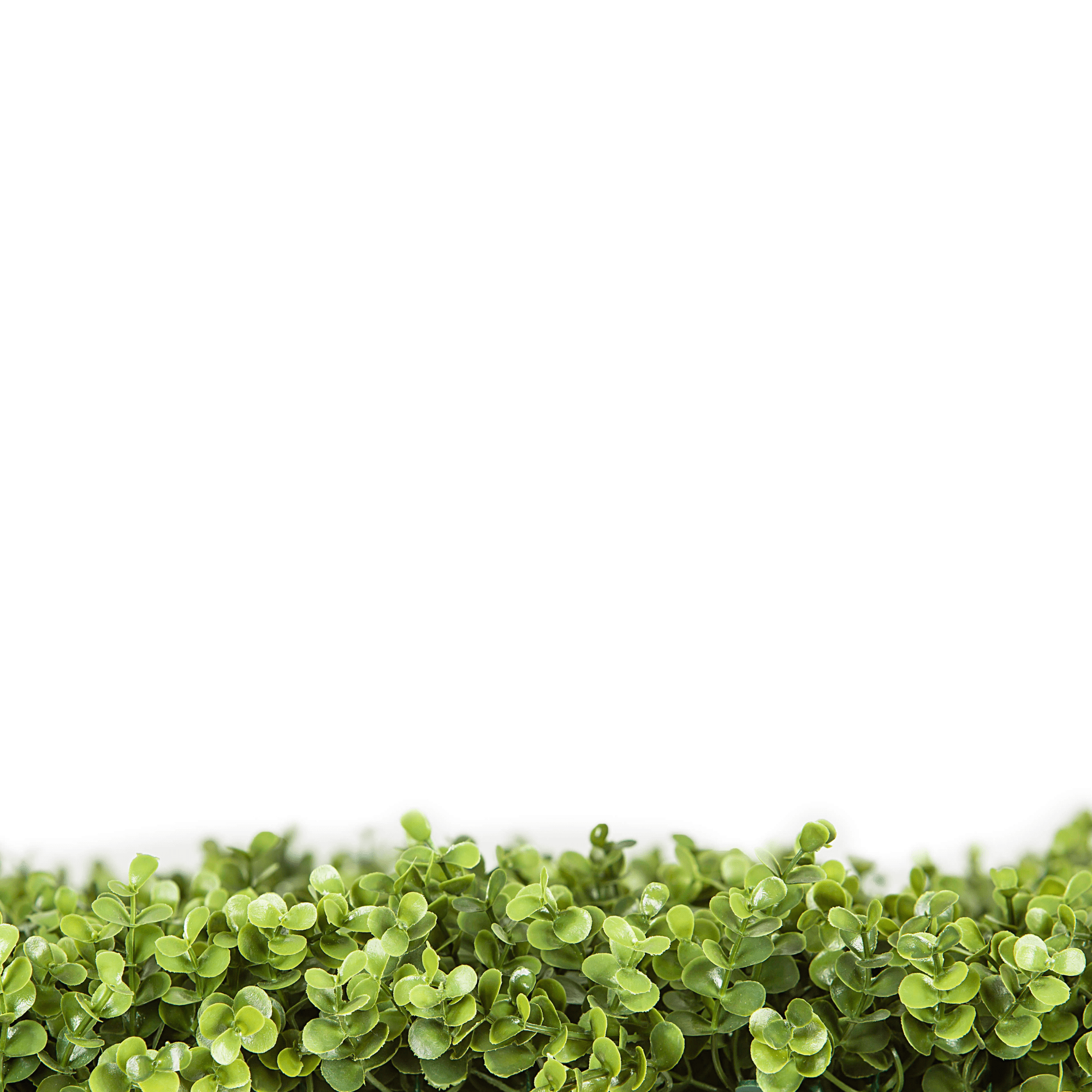 Natural Artificial Boxwood Wall 40