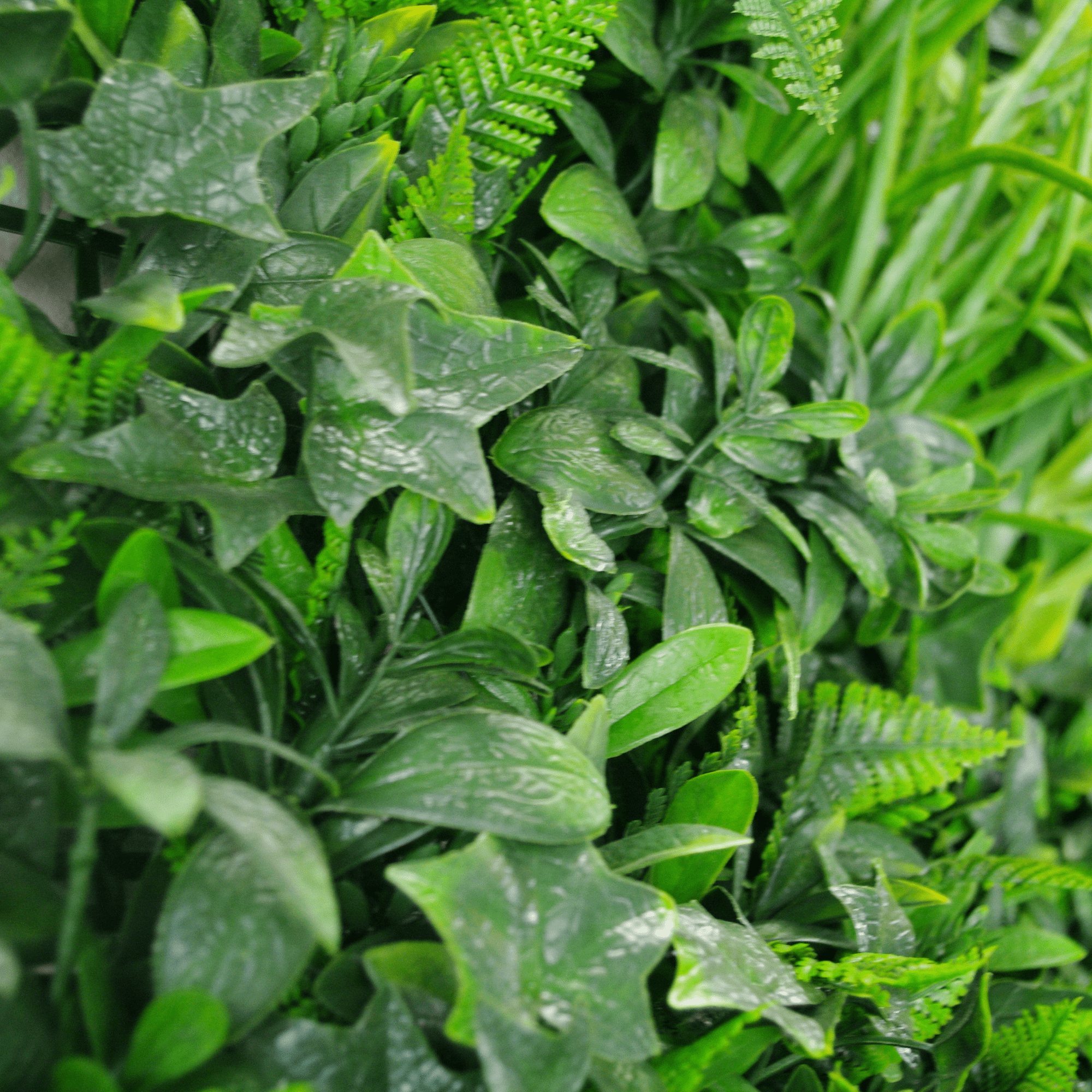 Luxury Green Tropics Artificial Living Wall /  Green Wall 40