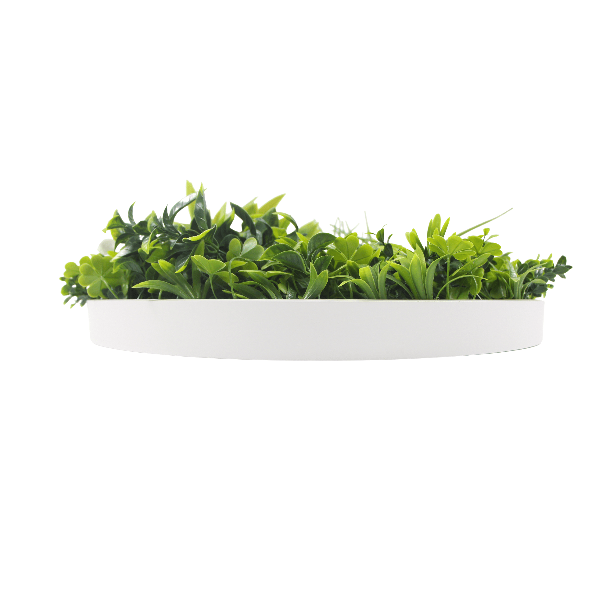 Luxury Artificial Green Wall Plant Wall Circle 30