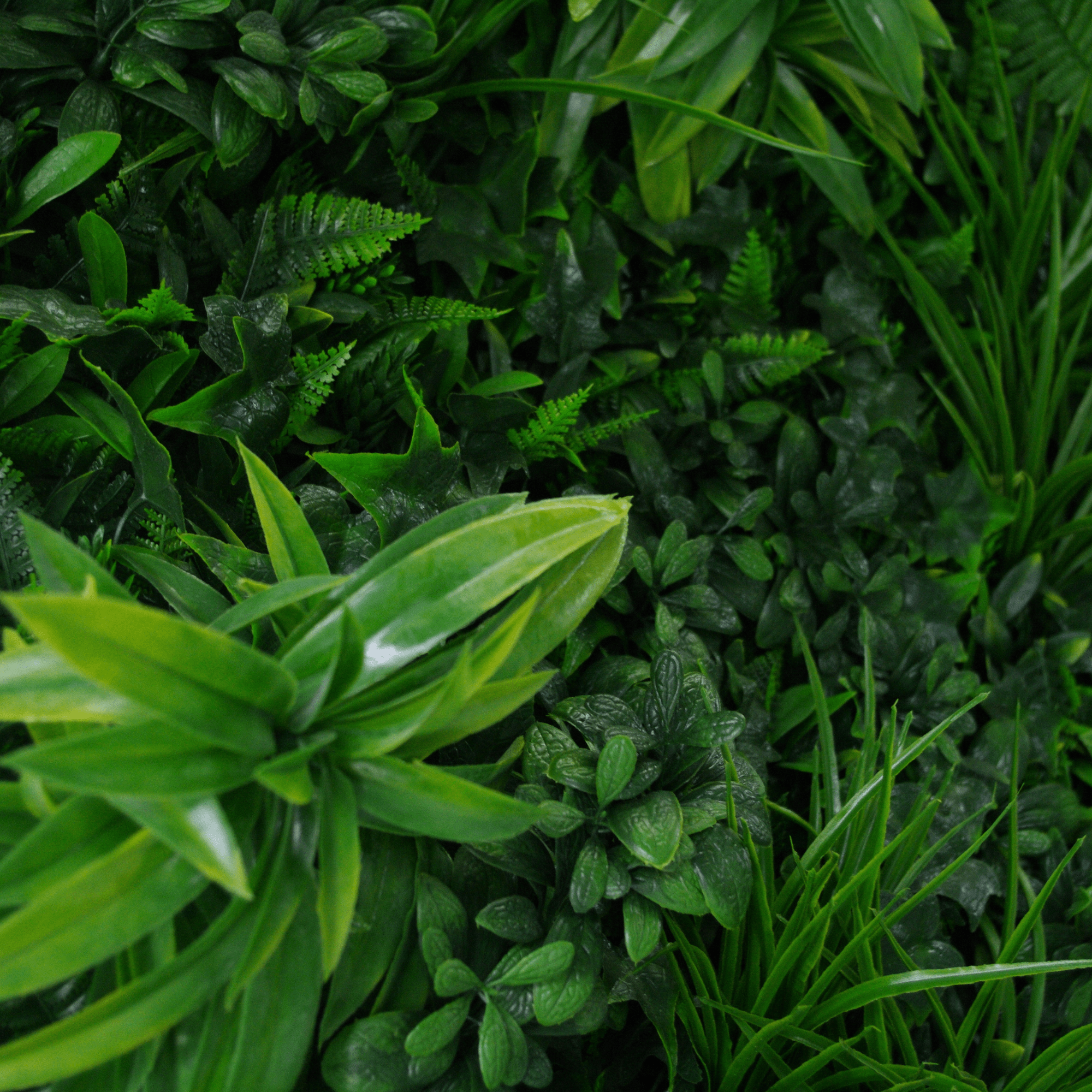 Luxury Green Tropics Artificial Living Wall /  Green Wall 40