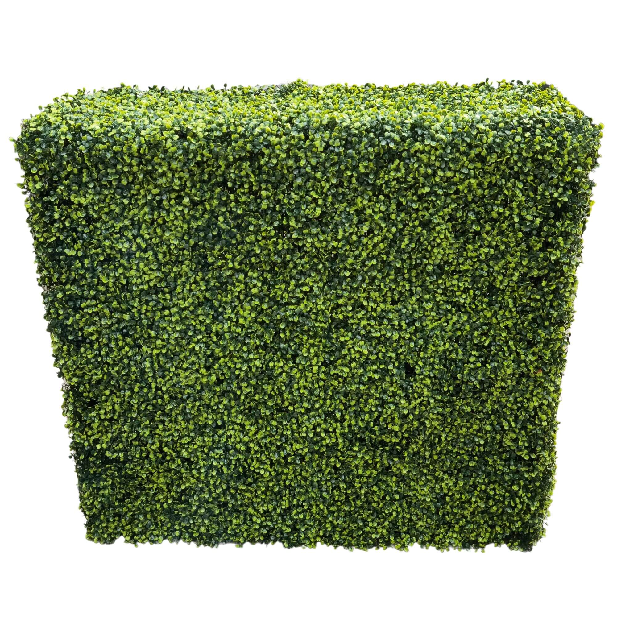 Premium Light Green Artificial Boxwood Hedge 30