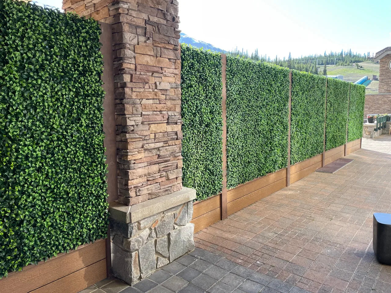Artificial Ivy Panel Florida / Jasmine Living Wall