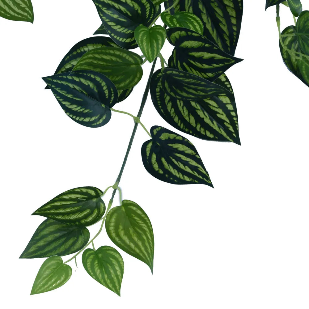 Artificial Watermelon Peperomia Hanging Vine - 40