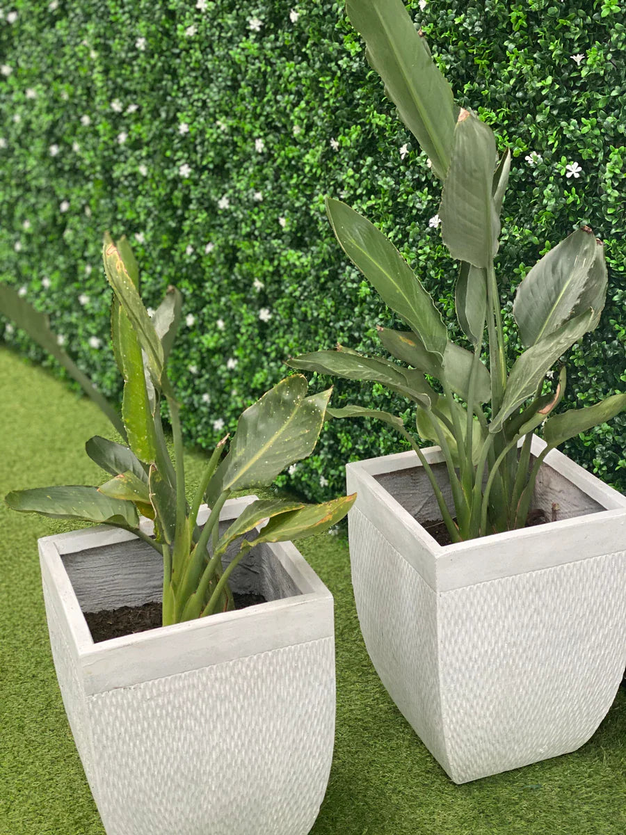 White Flowering Artificial Boxwood Wall 40