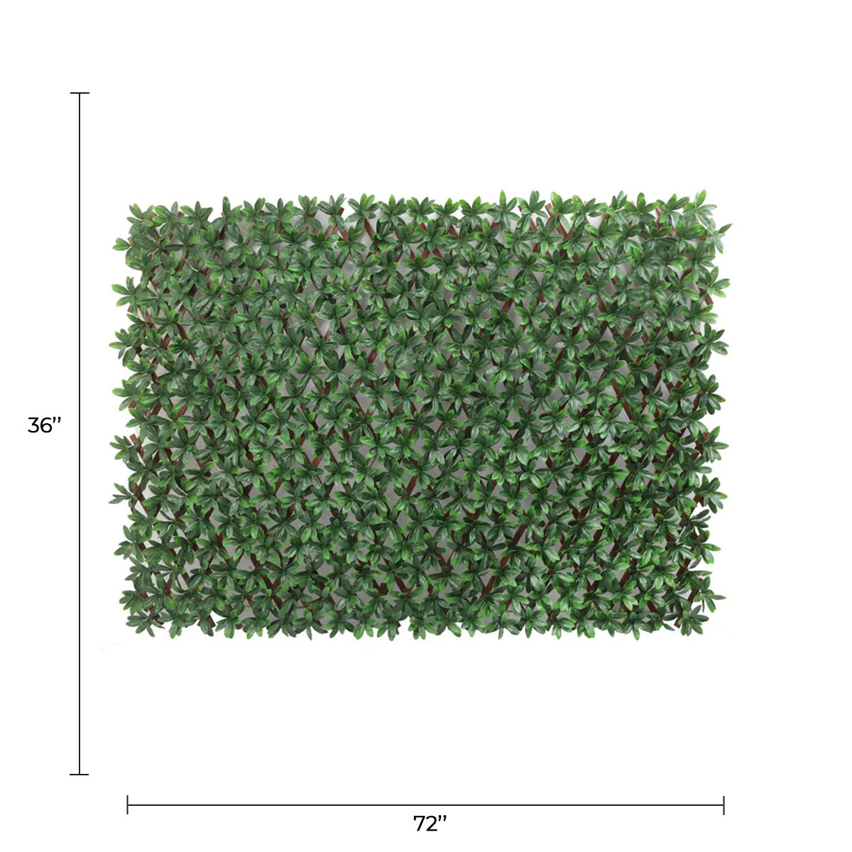 Expandable Faux English Laurel Trellis Privacy Fence (Variable Size) UV Resistant - 72