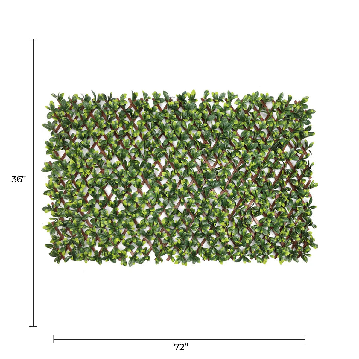 Expandable Faux Green Ligustrum Ficus Trellis Privacy Fence (Variable Size) UV Resistant 72