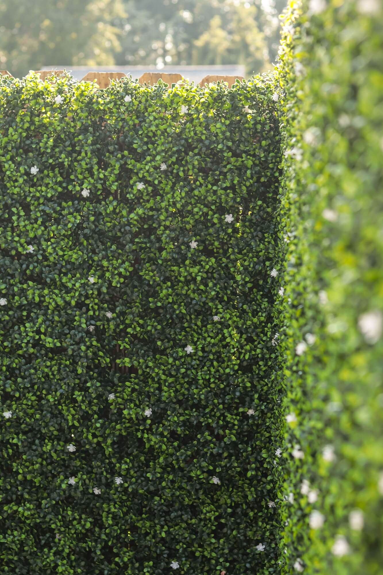 White Flowering Artificial Boxwood Wall 40