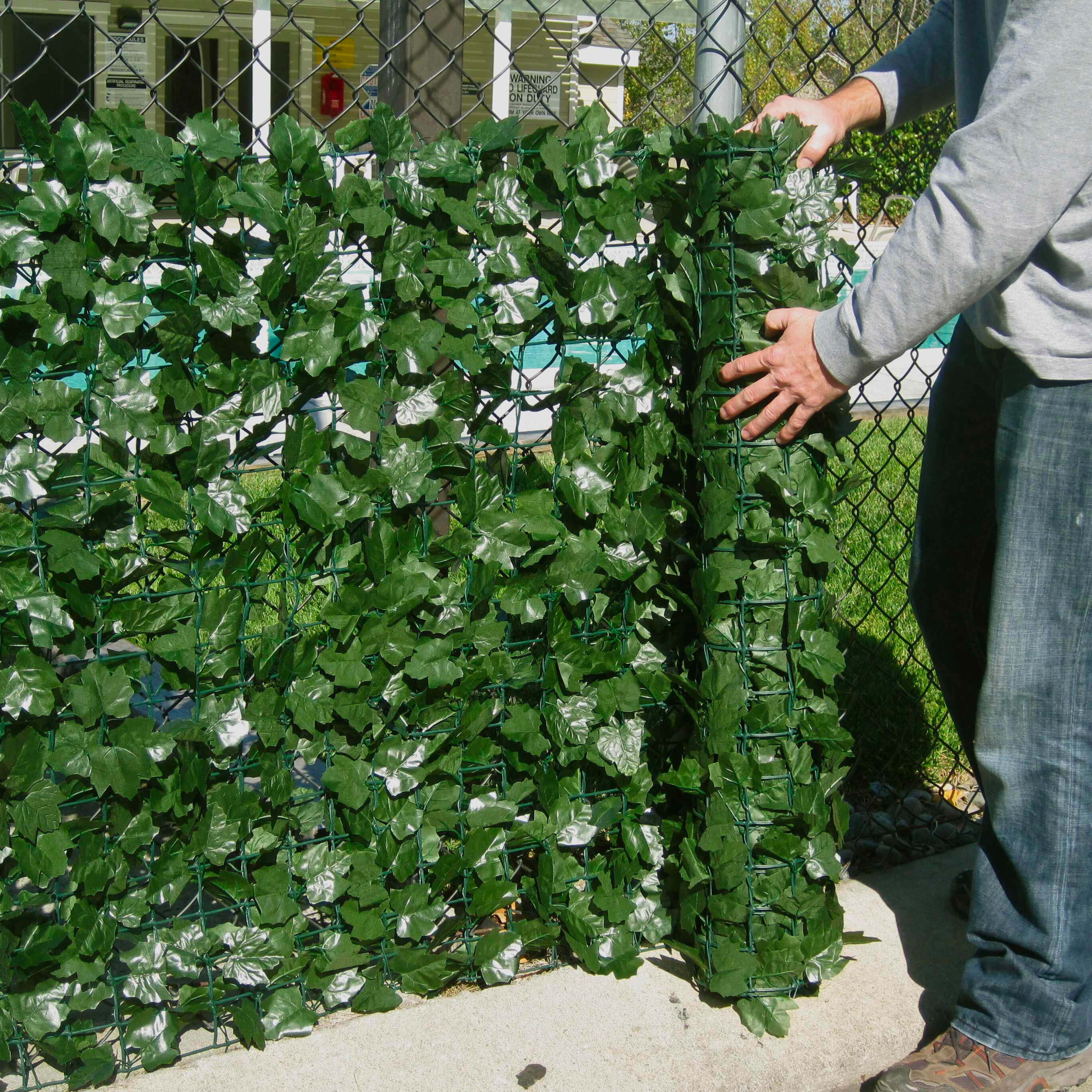 Artificial Privacy Ivy Roll 33 Square Foot / 118