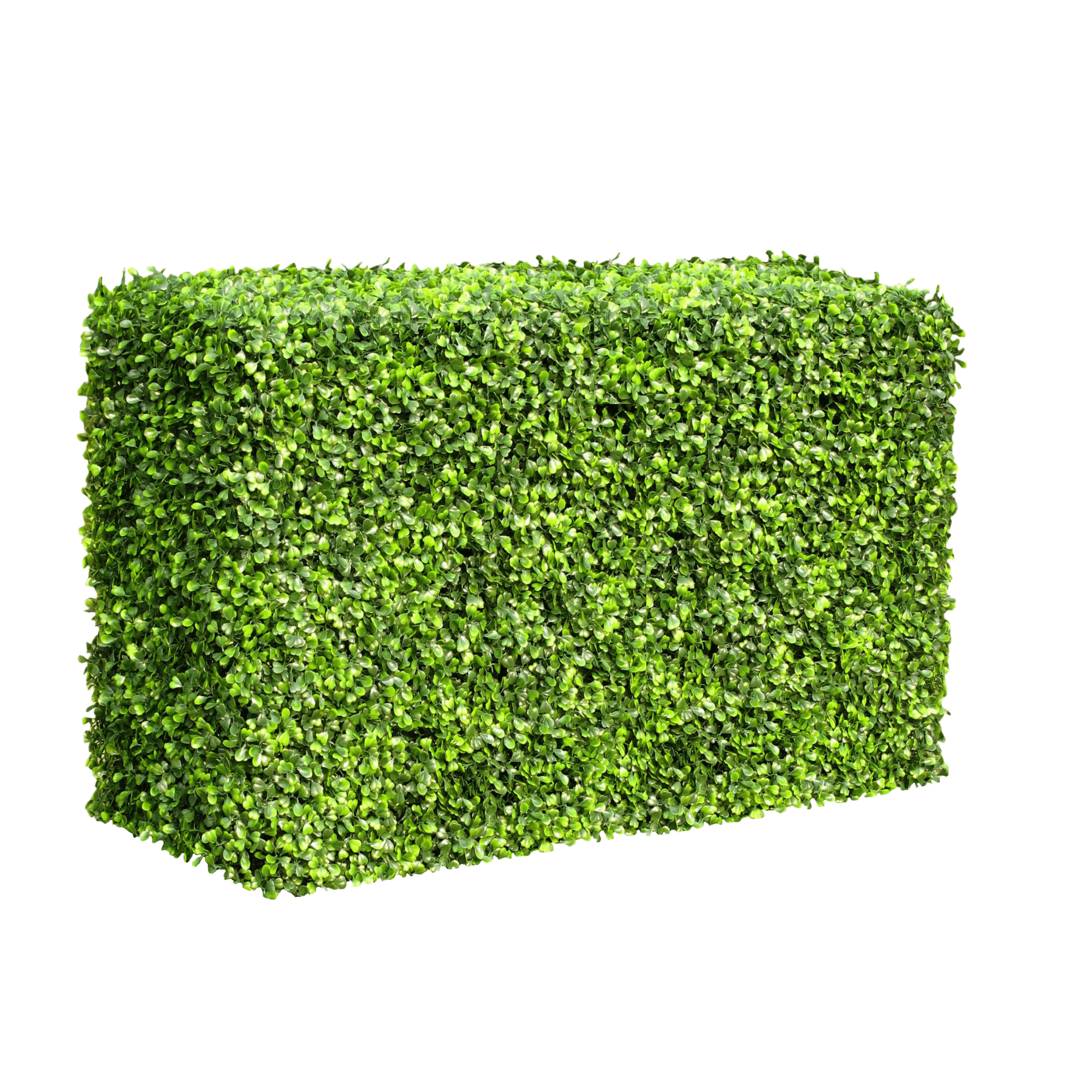 Light Artificial Boxwood Hedge 40