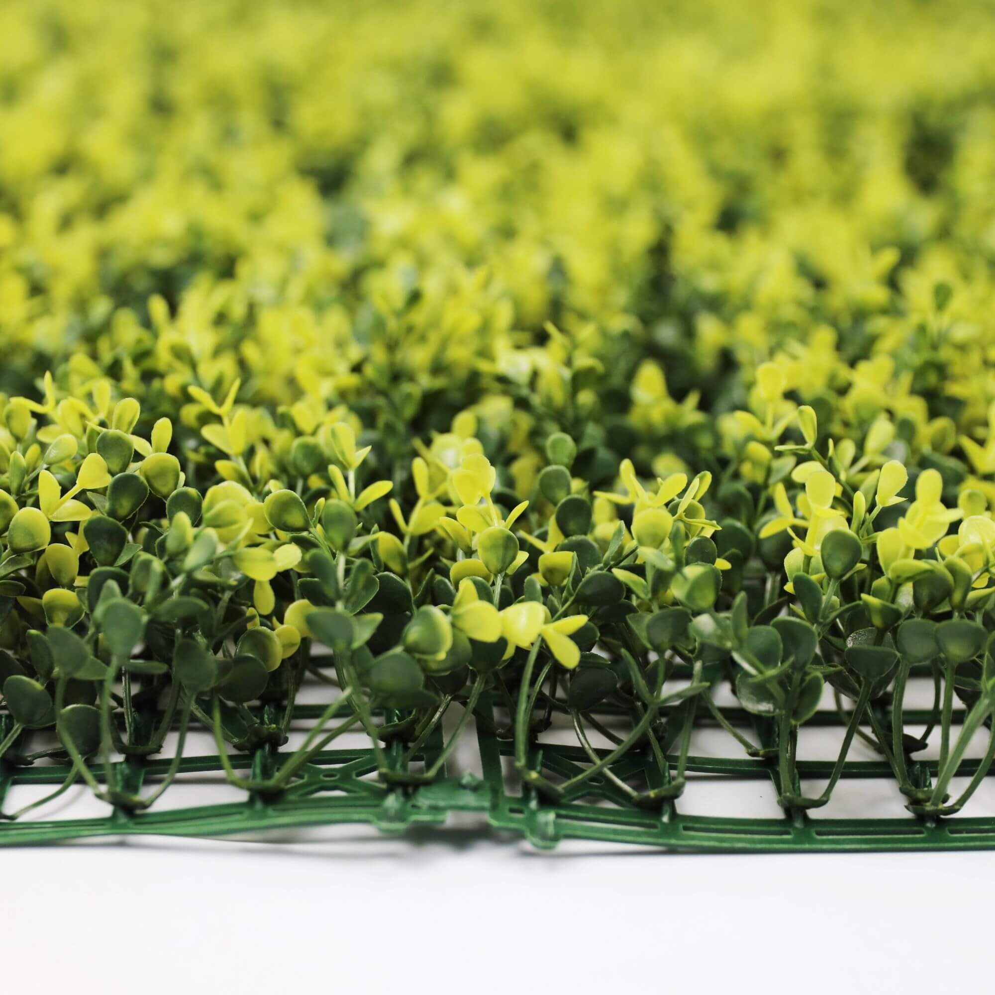 Yellow Buxus Hedge Panel Artificial Boxwood Panel