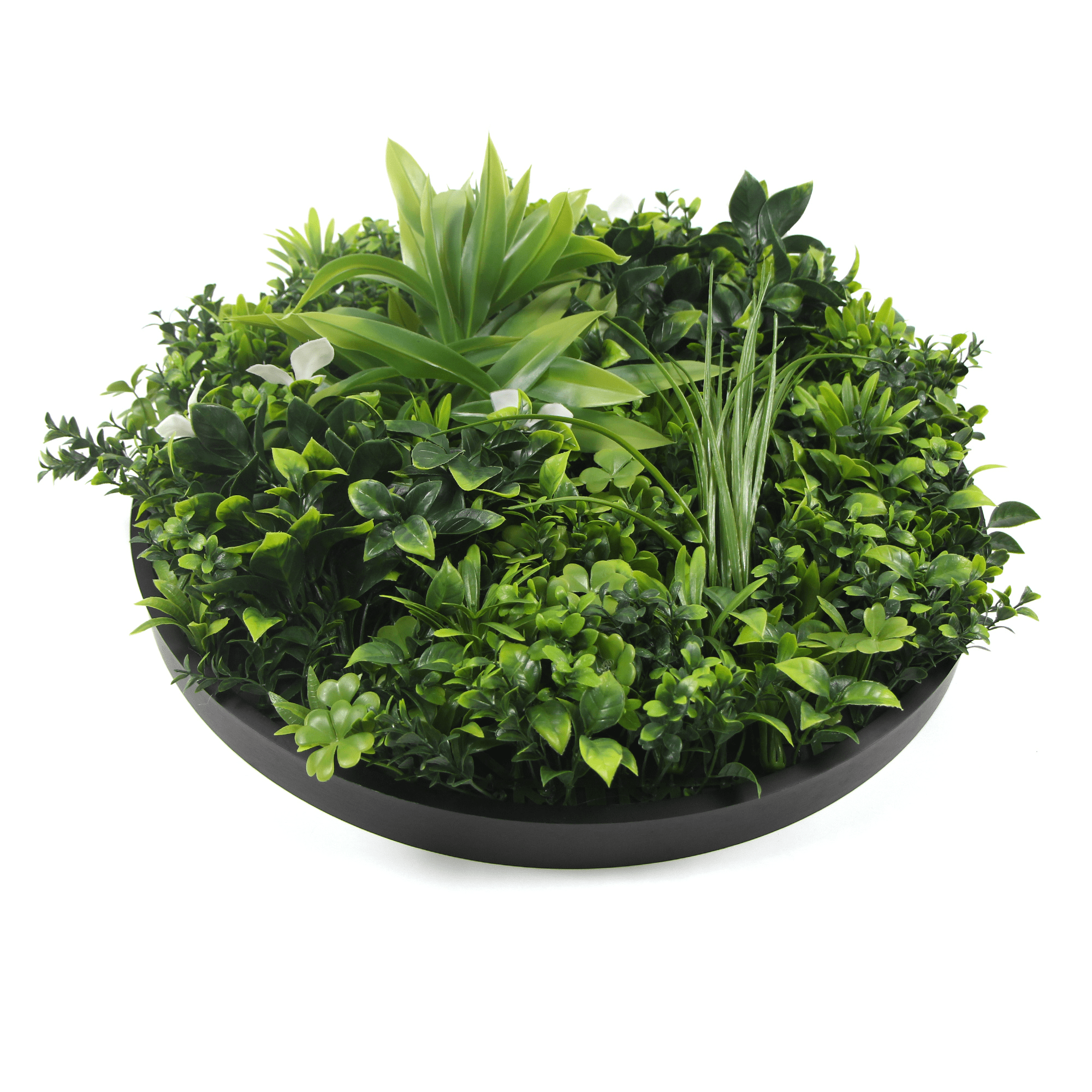 Artificial Green Wall Disc 30" Black Frame