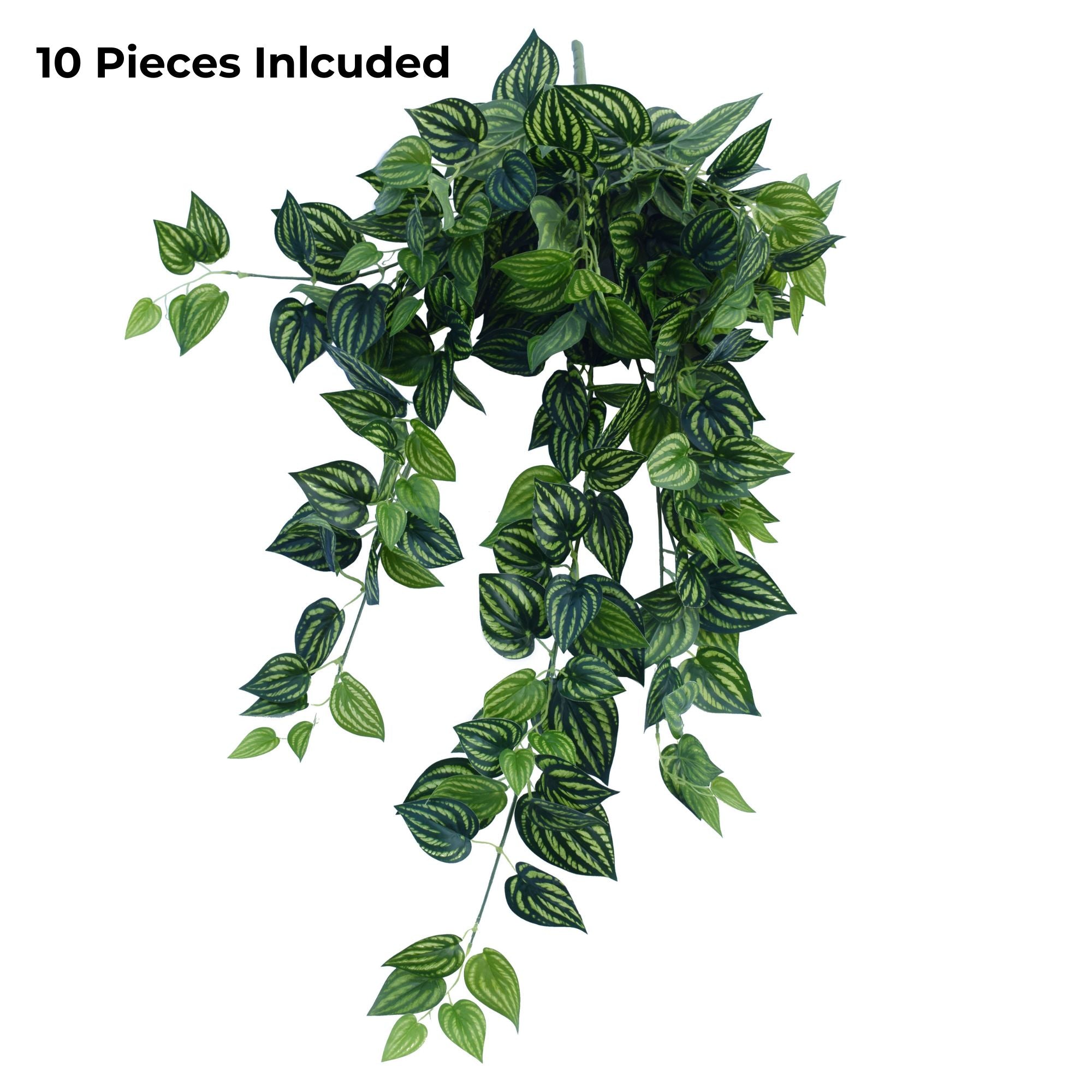 Artificial Watermelon Peperomia Hanging Vine - 40
