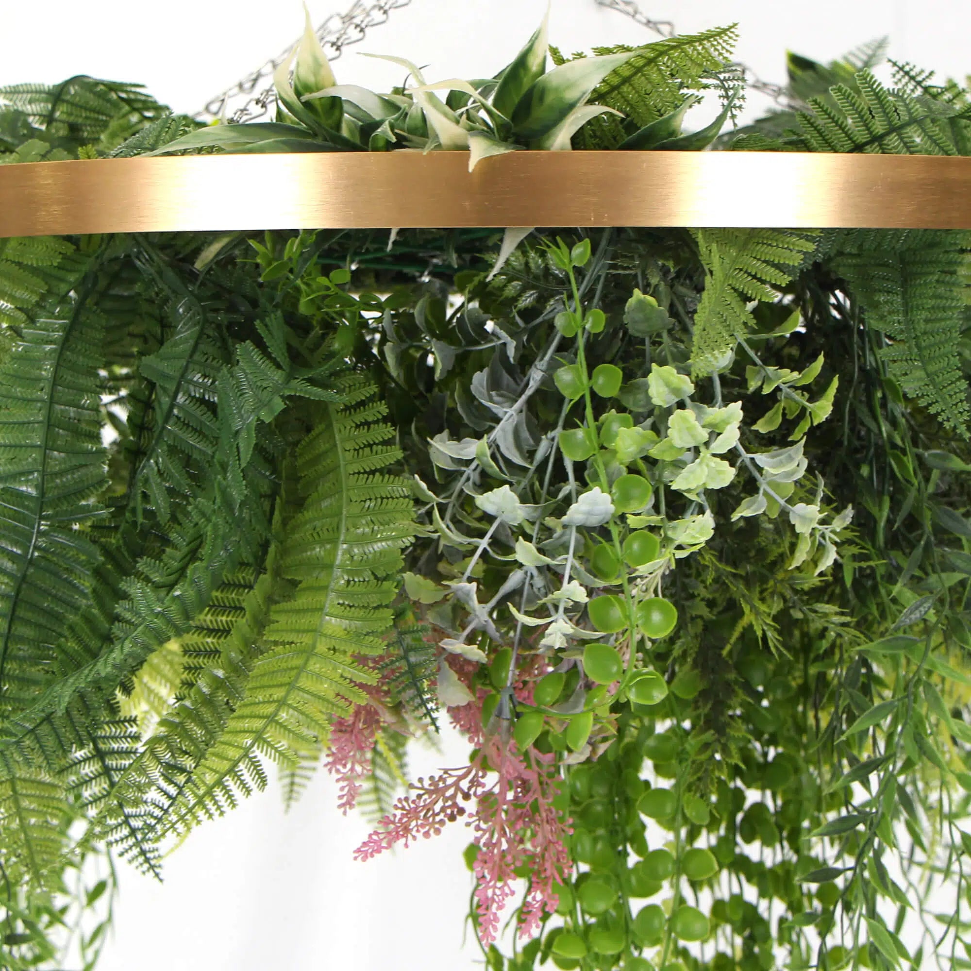 Imitation Premium Gold Artificial Hanging Green Wall Disc 60cm (Limited Edition)