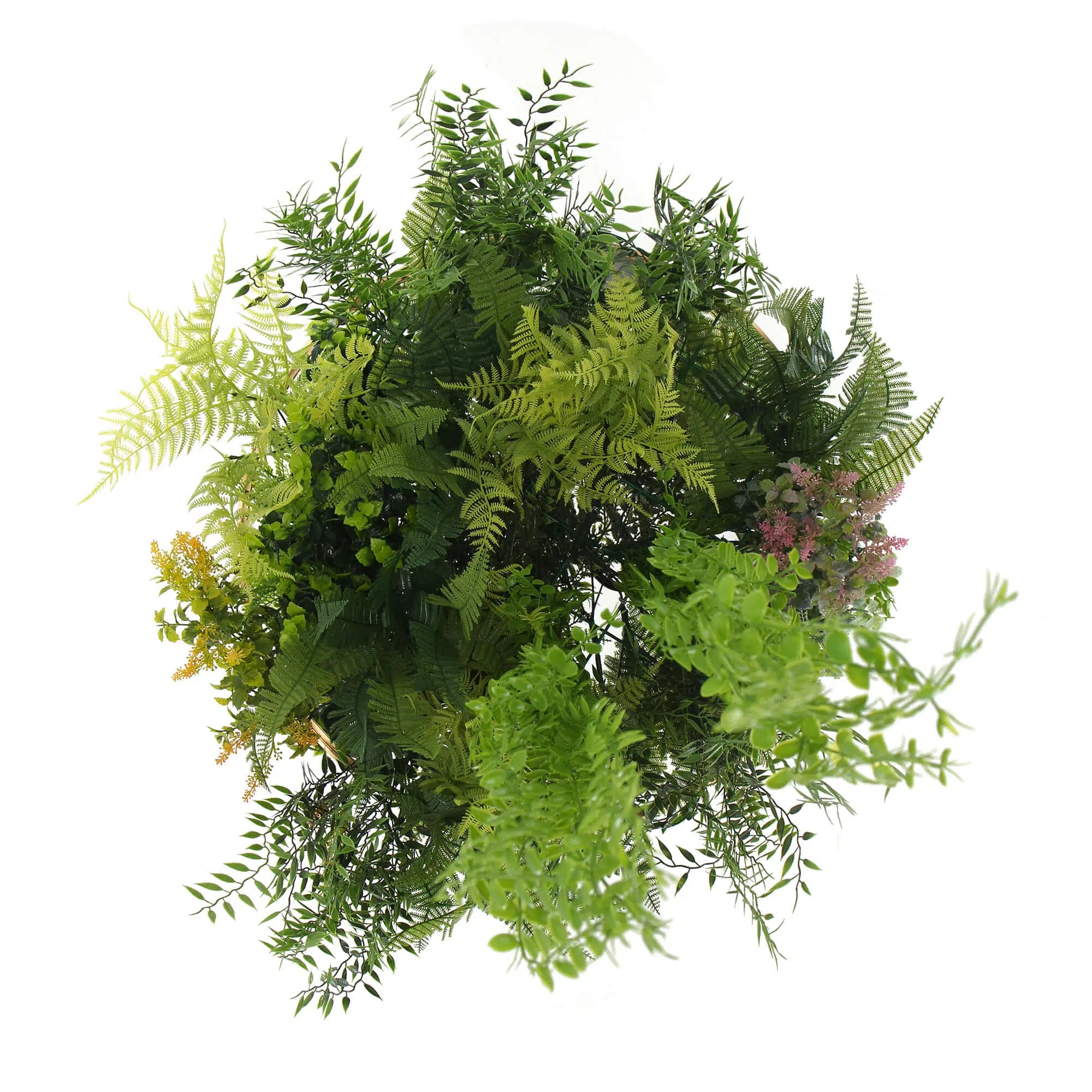 Imitation Premium Gold Artificial Hanging Green Wall Disc 60cm (Limited Edition)