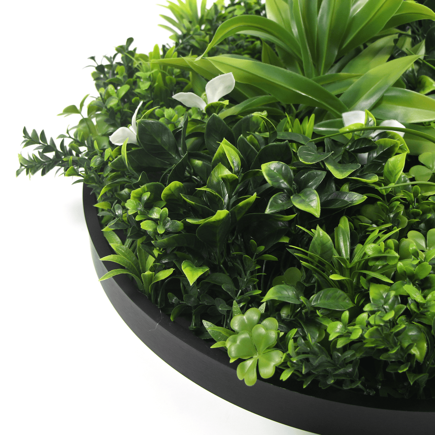 Artificial Green Wall Disc 30" Black Frame