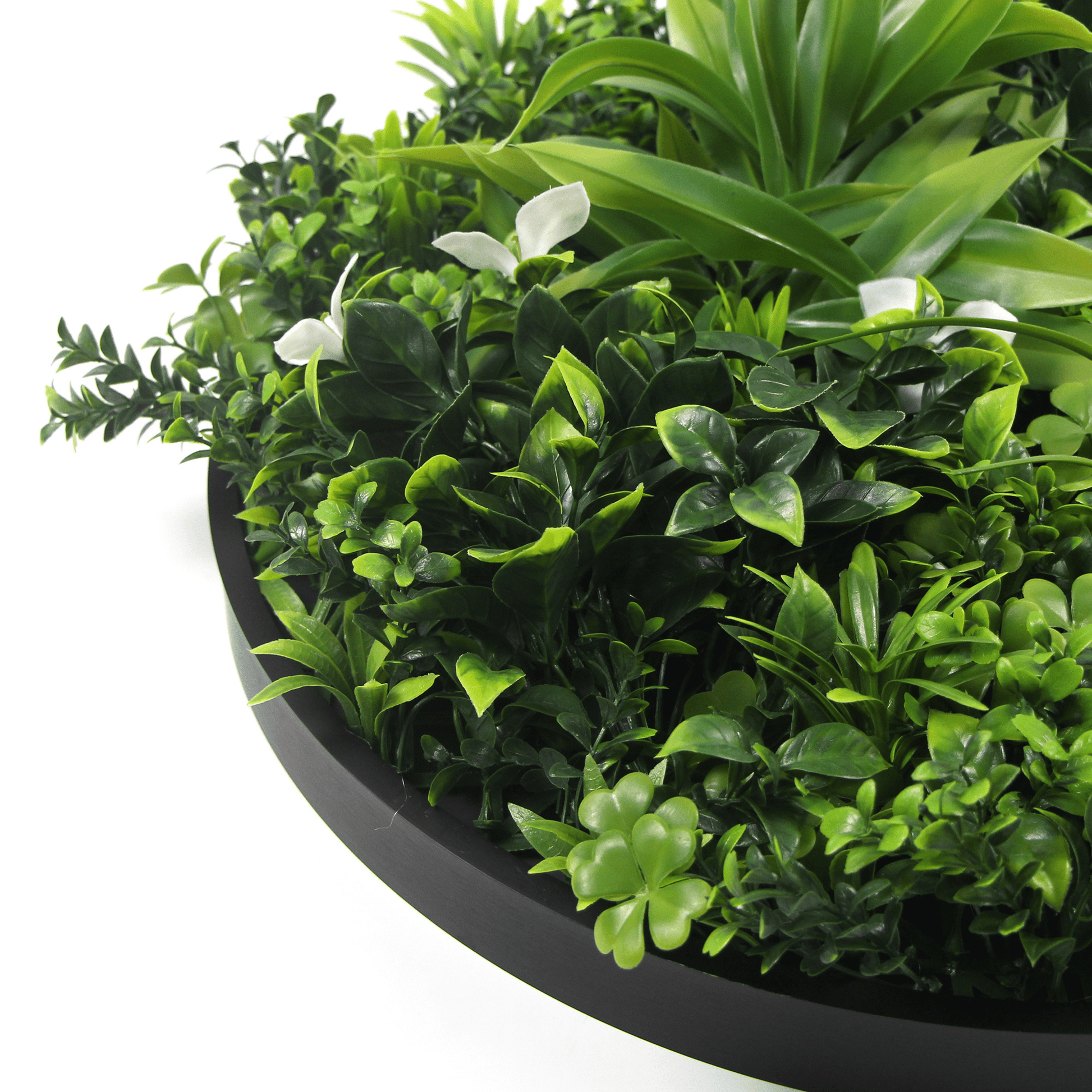 Artificial Green Wall Disc 30" Black Frame
