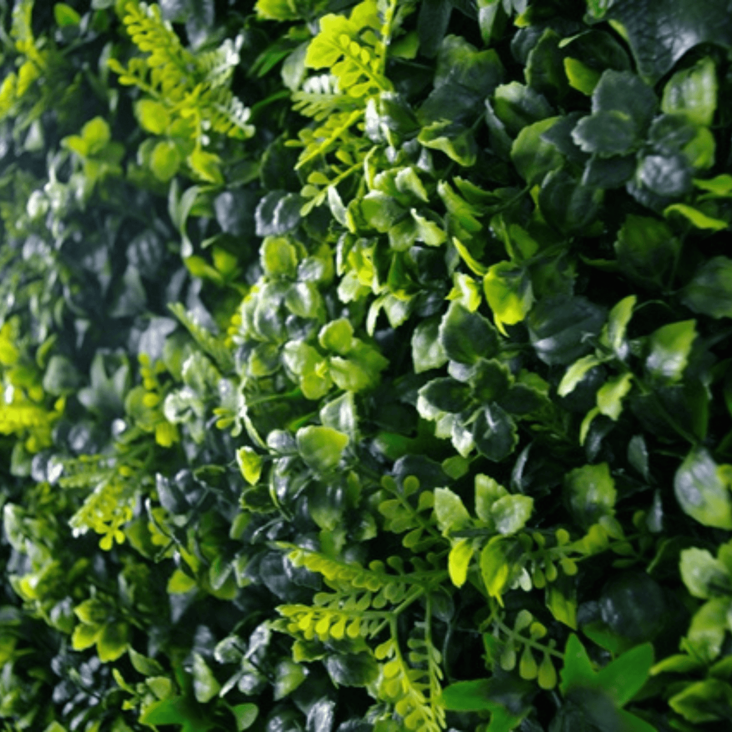 Spring Sensation Artificial Green Wall 40" x 40"