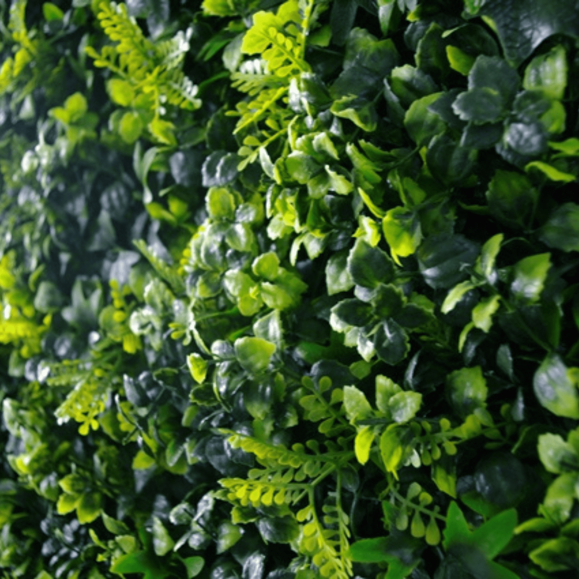 Spring Sensation Artificial Green Wall 40" x 40"