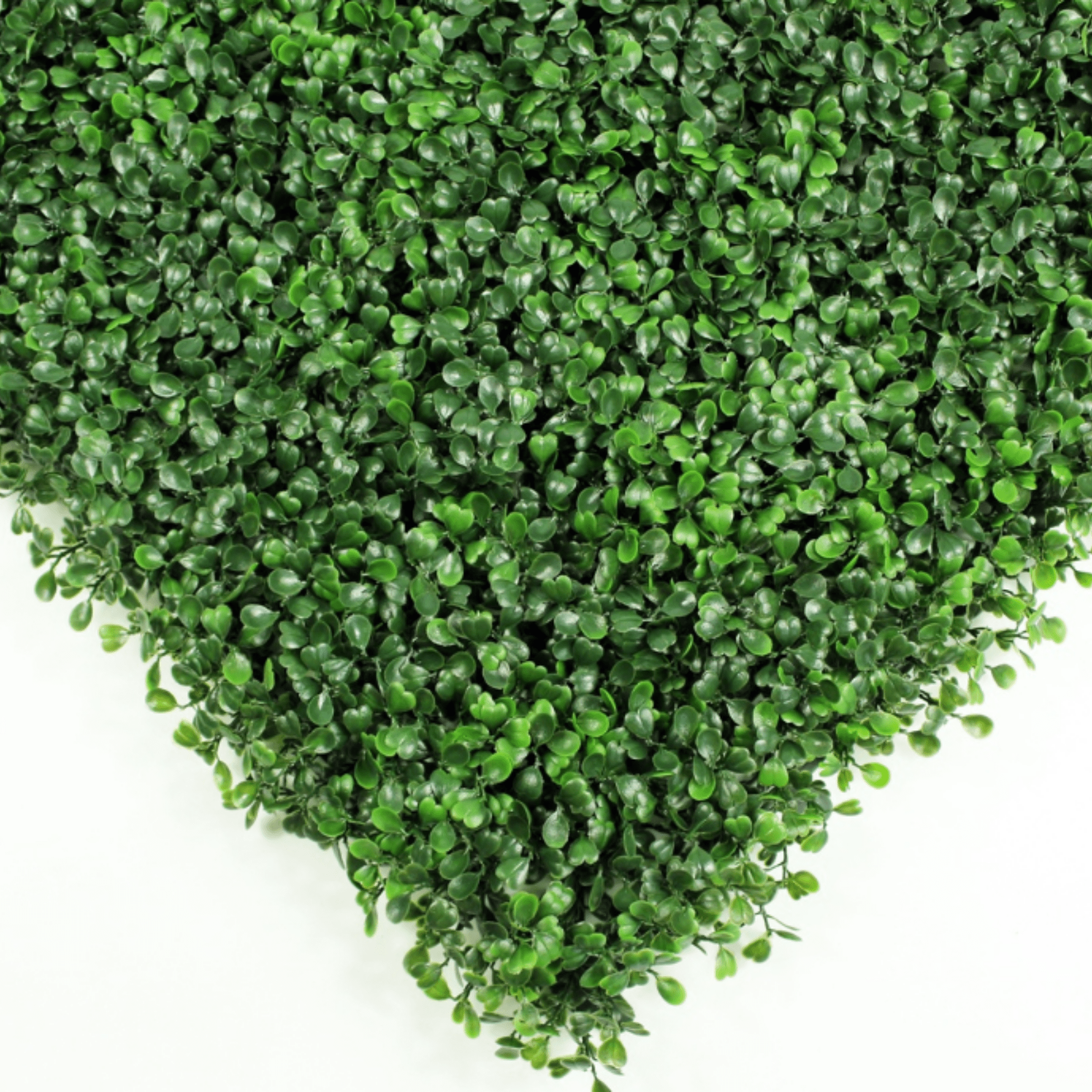 Sample Panel of Premium Dark Artificial Boxwood Wall (Small Sample) Commercial Grade UV Resistant