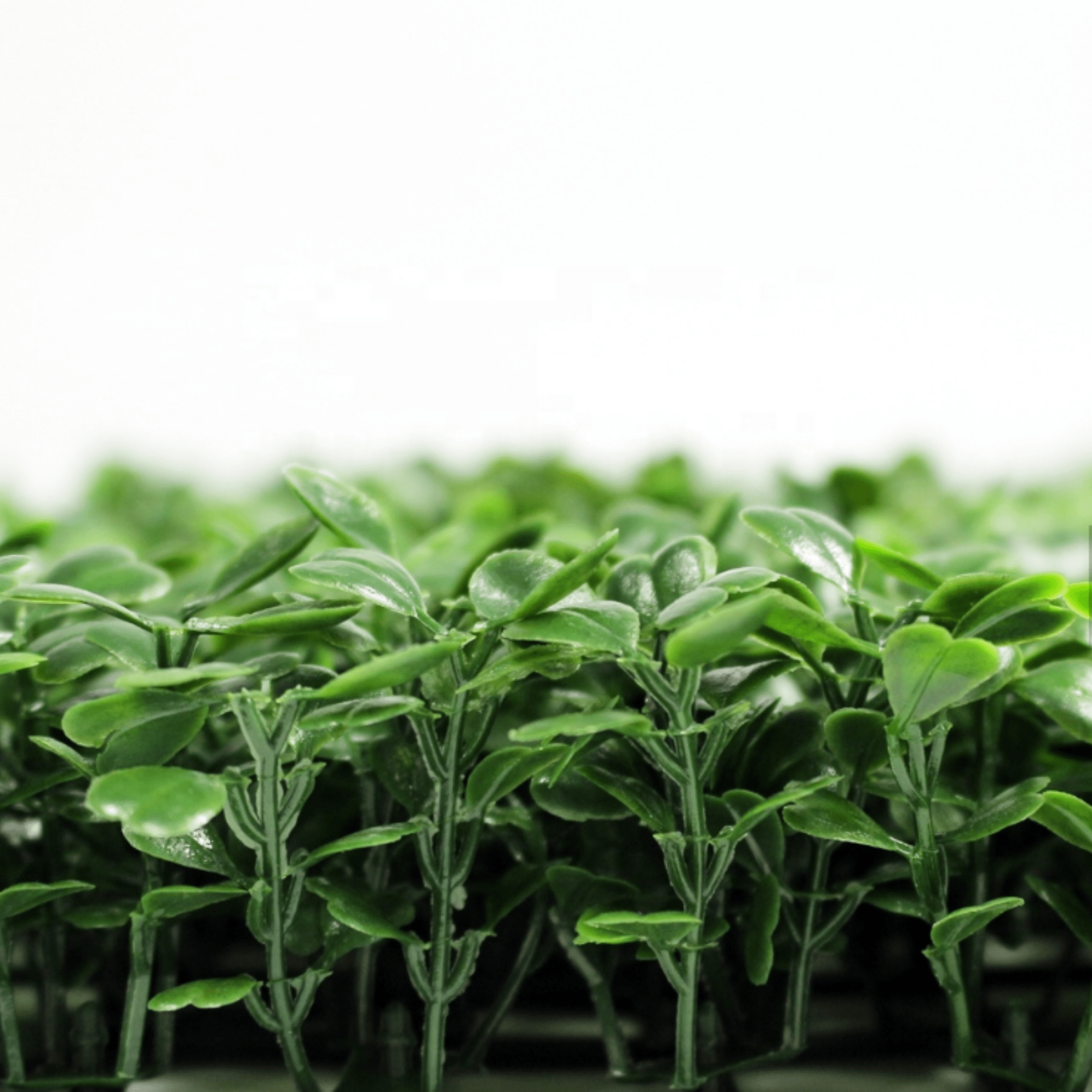 Dark Artificial Boxwood Wall 40