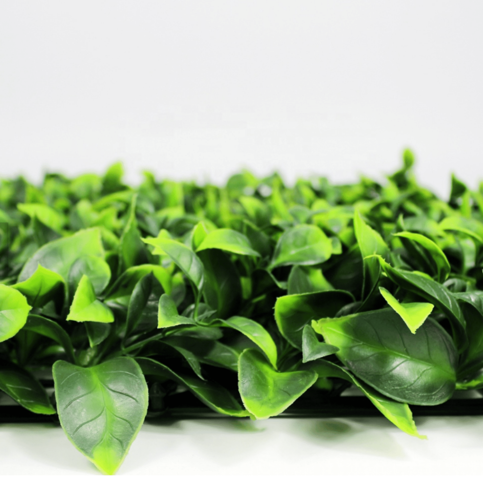 Jasmine Artificial Green Wall 40" x 40"