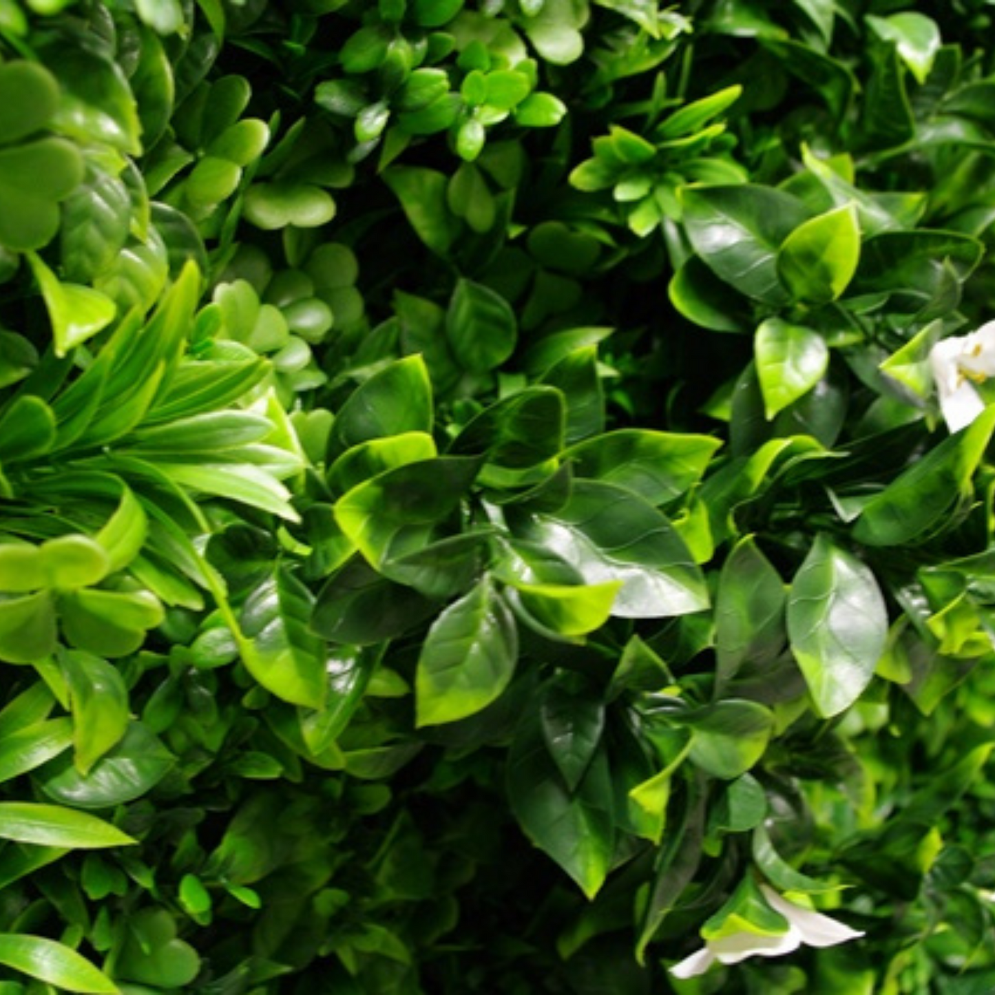 White Oasis Artificial Vertical Garden 40" x 40"