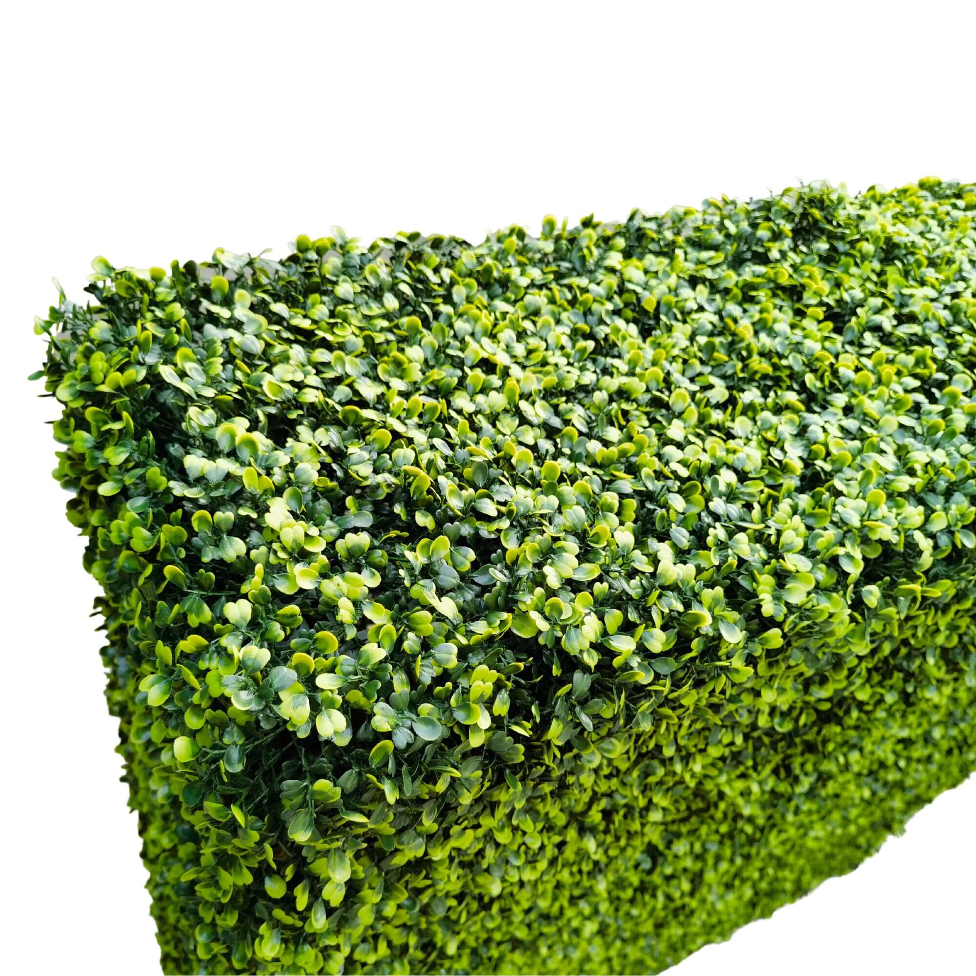 Premium Light Green Artificial Boxwood Hedge 30