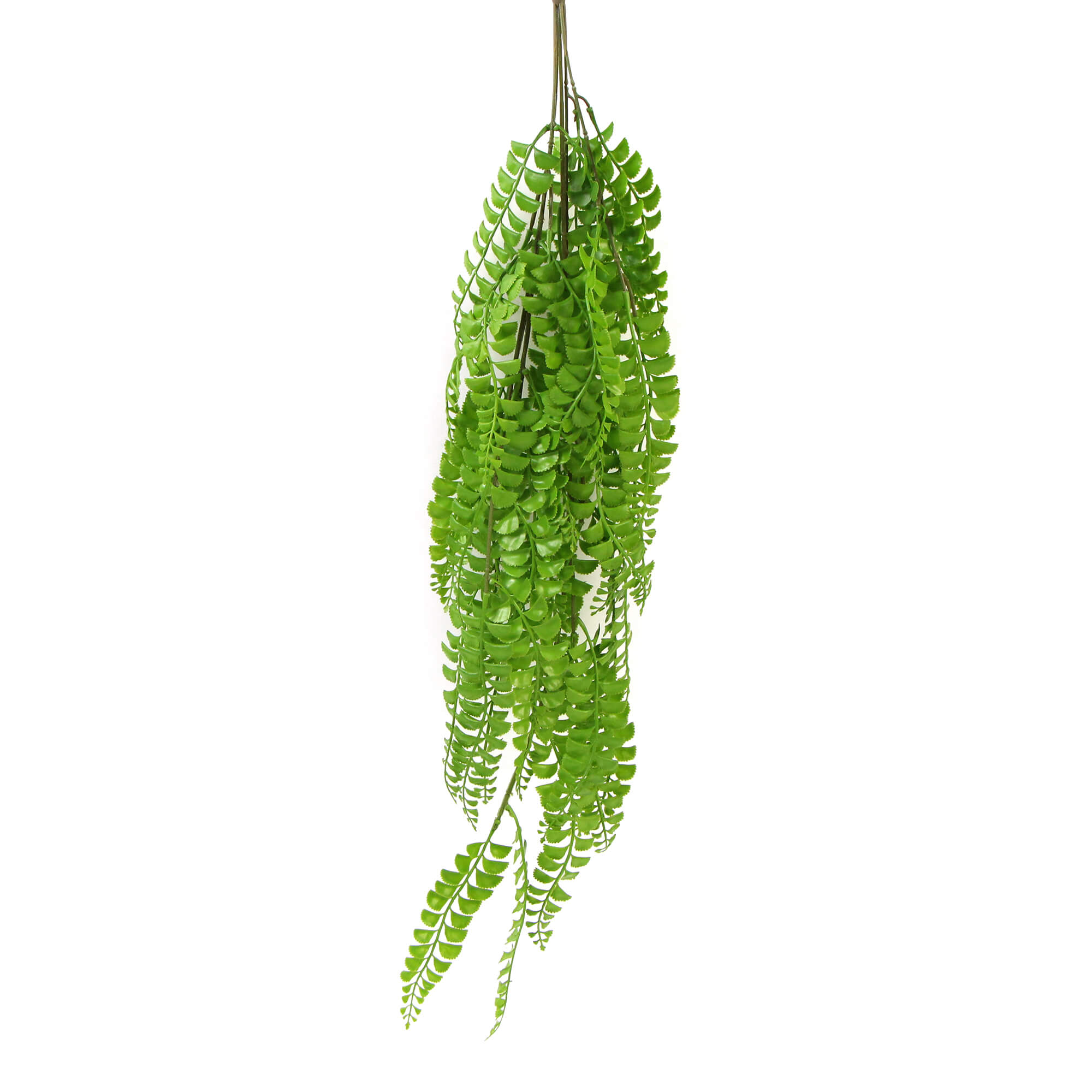 Artificial Dark Green Hanging Button Fern Plant 31