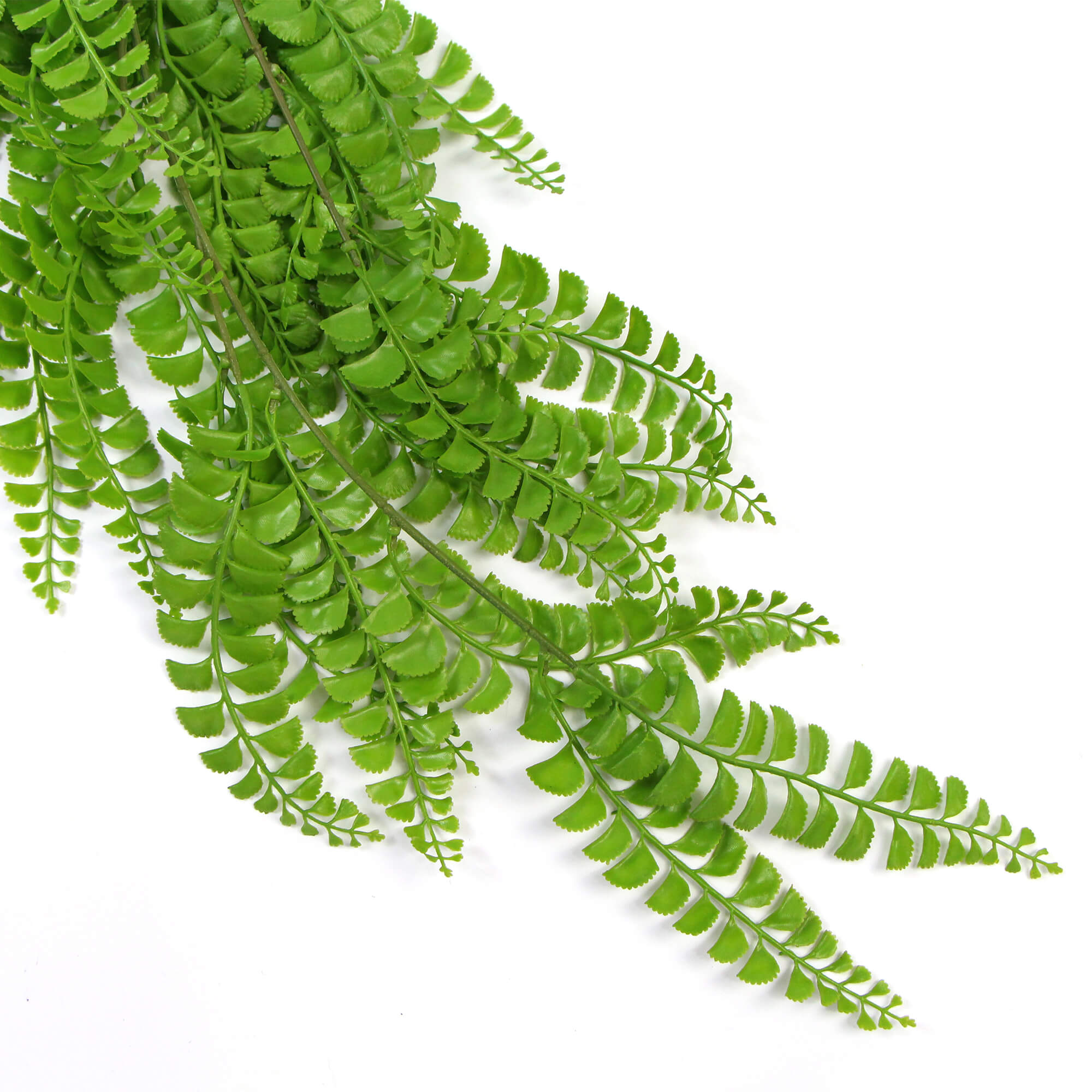 Artificial Dark Green Hanging Button Fern Plant 31