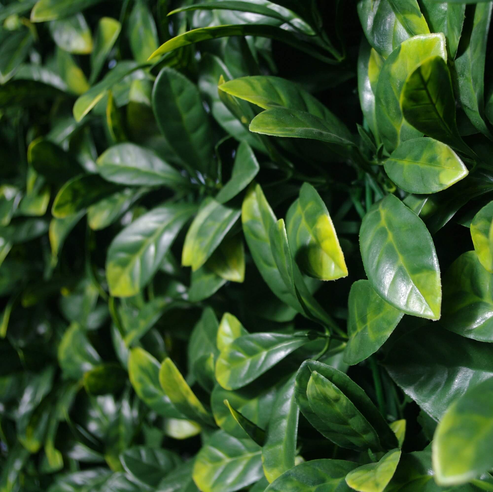 Premium Laurel Artificial Vertical Garden Wall 40