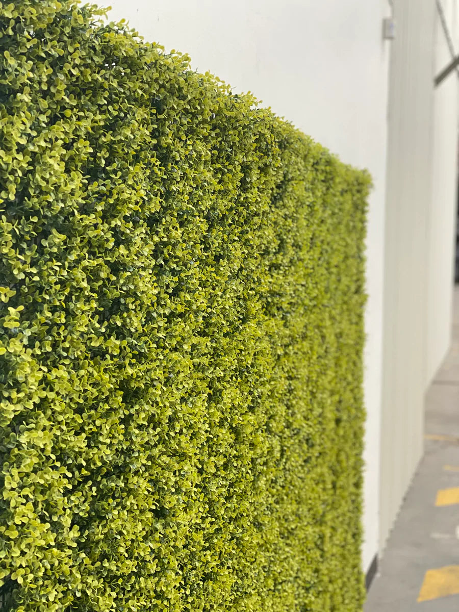 Yellow English Artificial Boxwood Wall 40