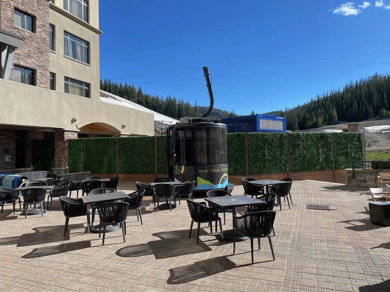 Jasmine Artificial Green Wall 40" x 40"