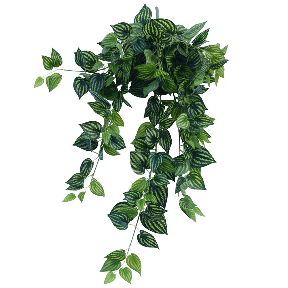 Artificial Watermelon Peperomia Hanging Vine - 40