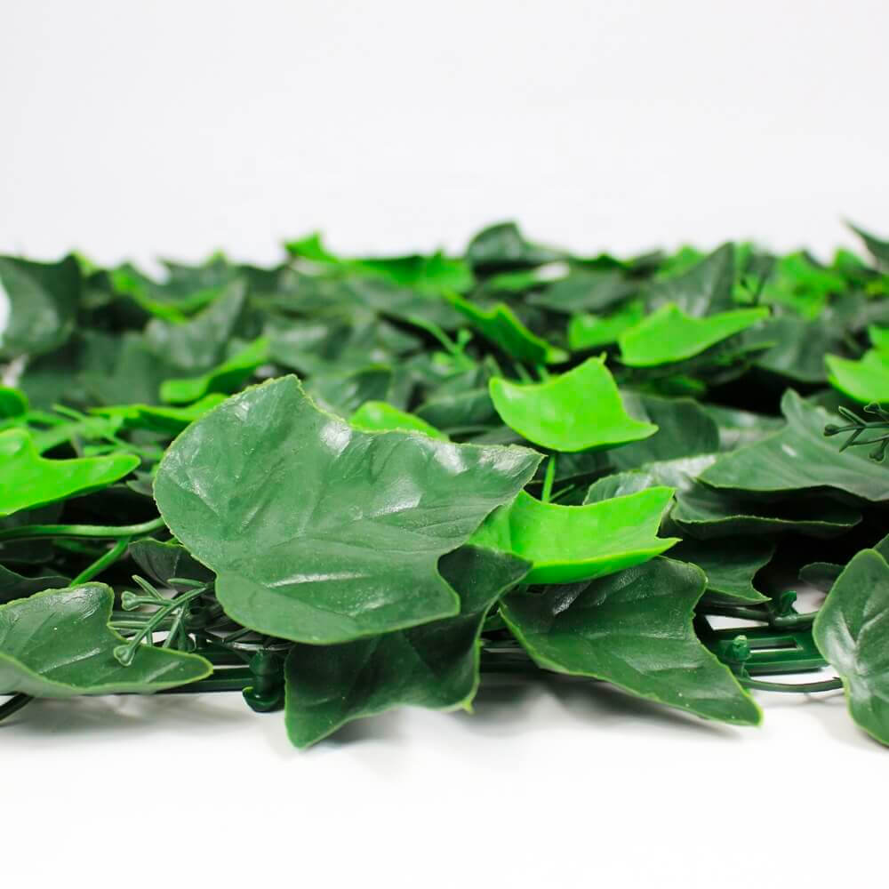 Boston Ivy Green Wall up close UV Protected - Designer Plants USA