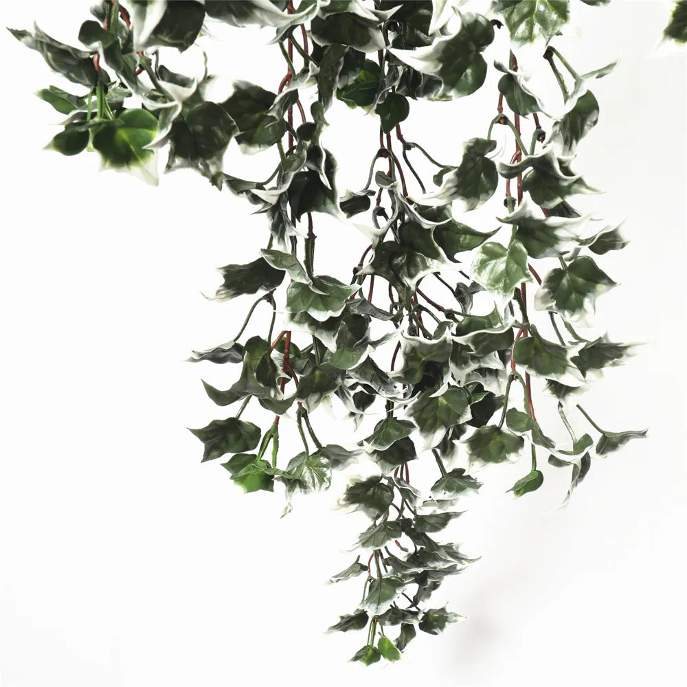 Artificial UV-Resistant Hanging Ivy With White Tipped Leaves – 31.5" (Set of 10)