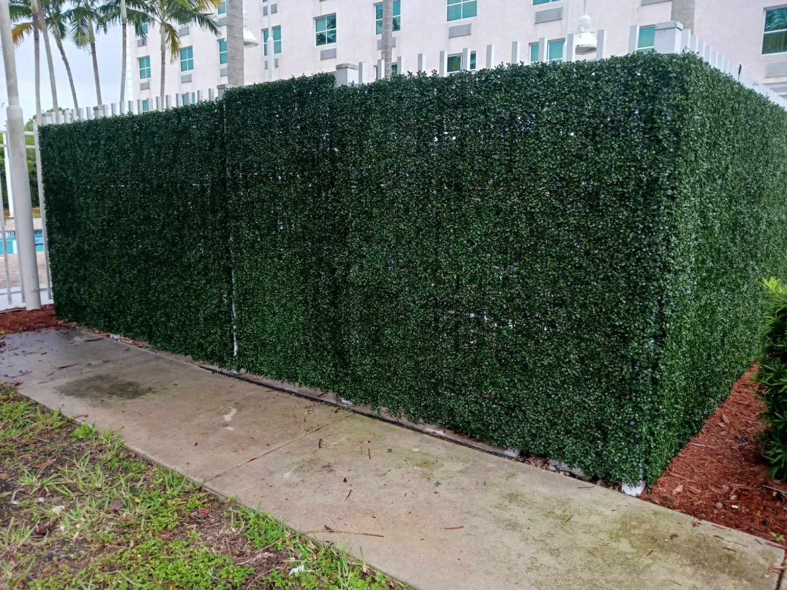 Dark Artificial Boxwood Wall 40" x 40"