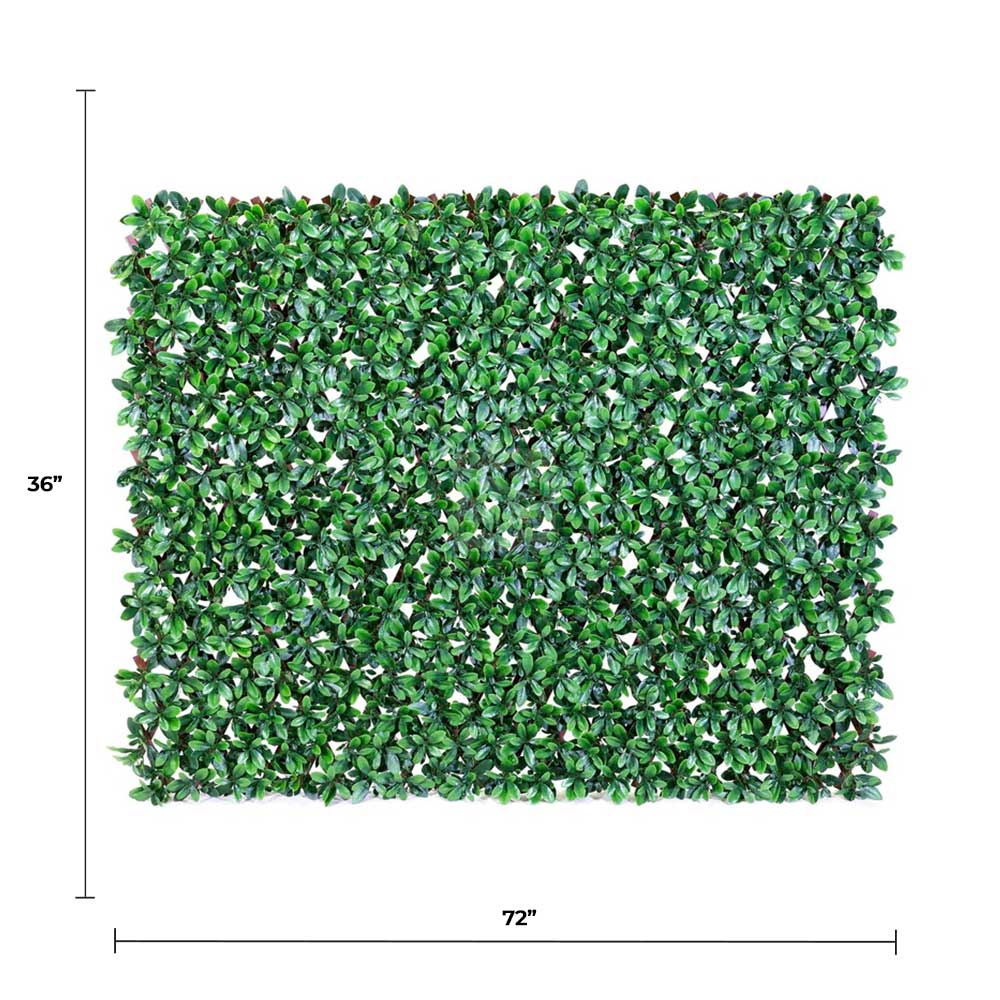 Expandable Faux English Laurel Trellis Privacy Fence (Variable Size) UV Resistant - 72