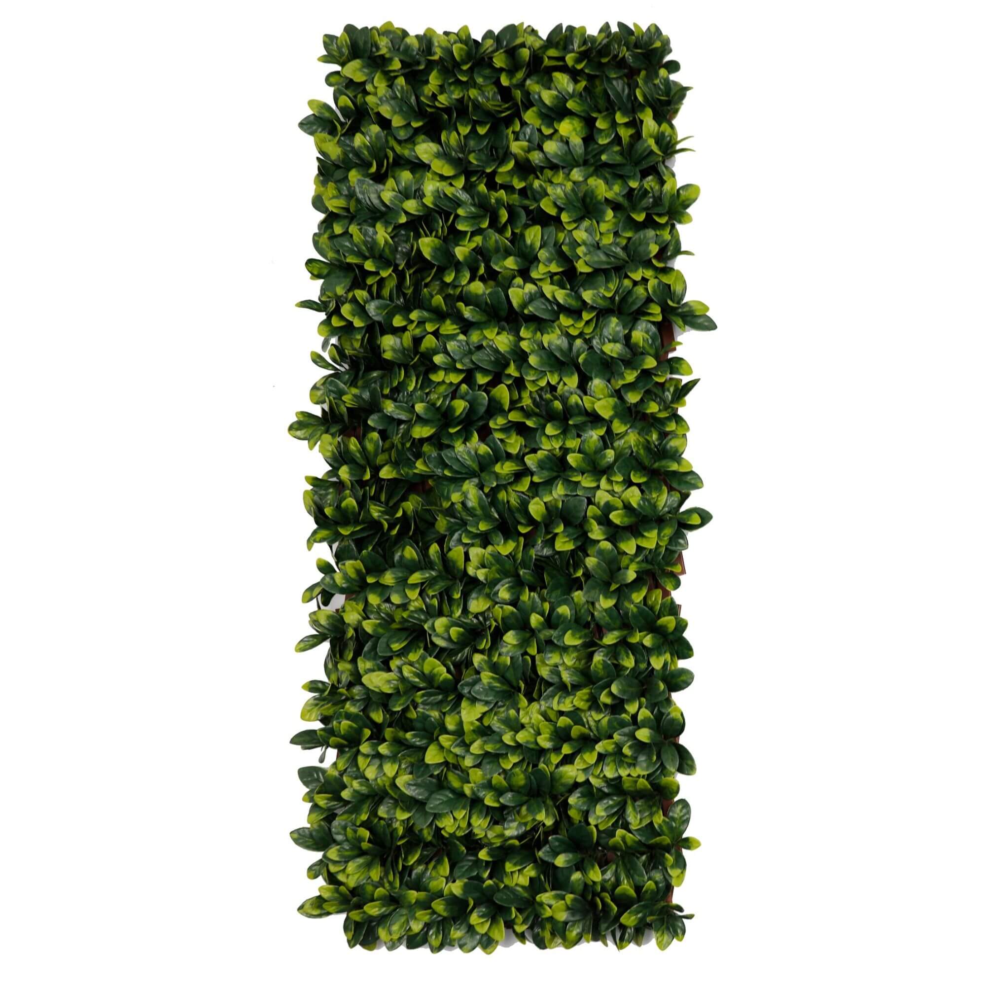 Expandable Faux Green Ligustrum Ficus Trellis Privacy Fence (Variable Size) UV Resistant 72