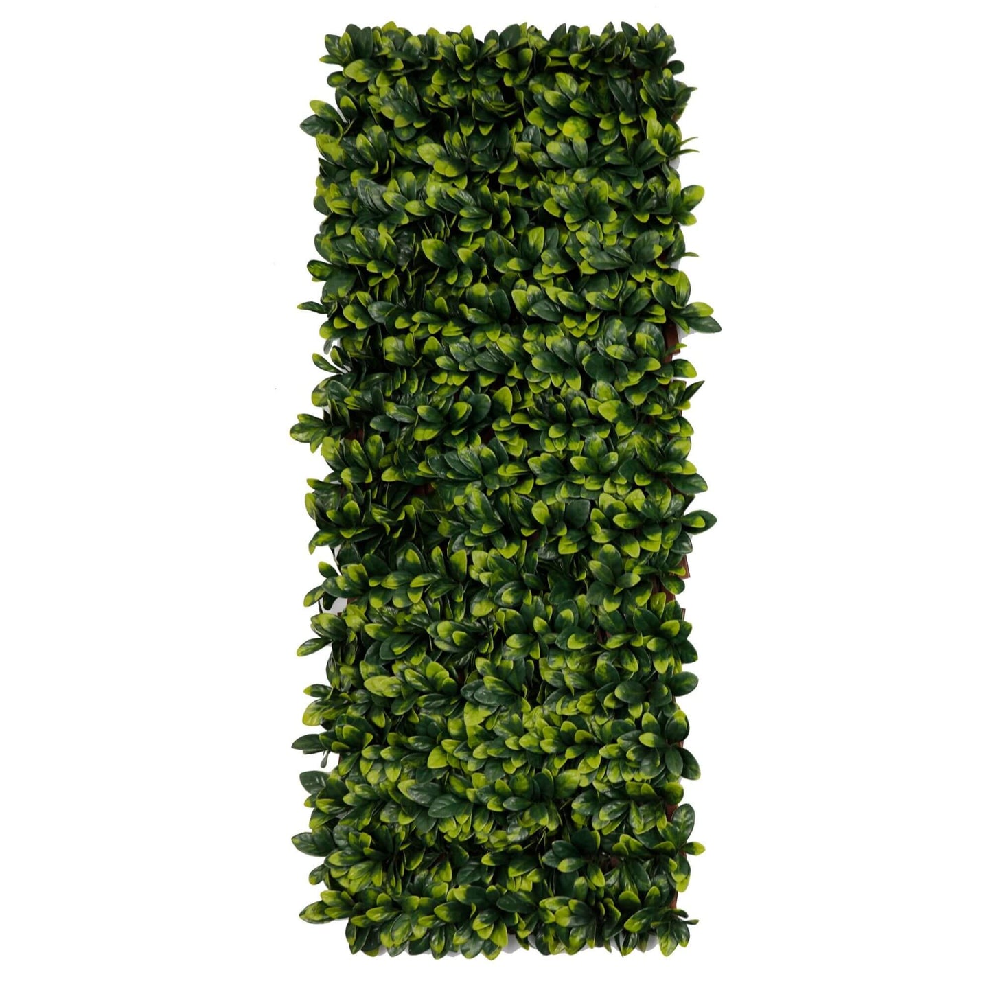 Expanding Plastic Trellis for Privacy with Artificial Plant Screen