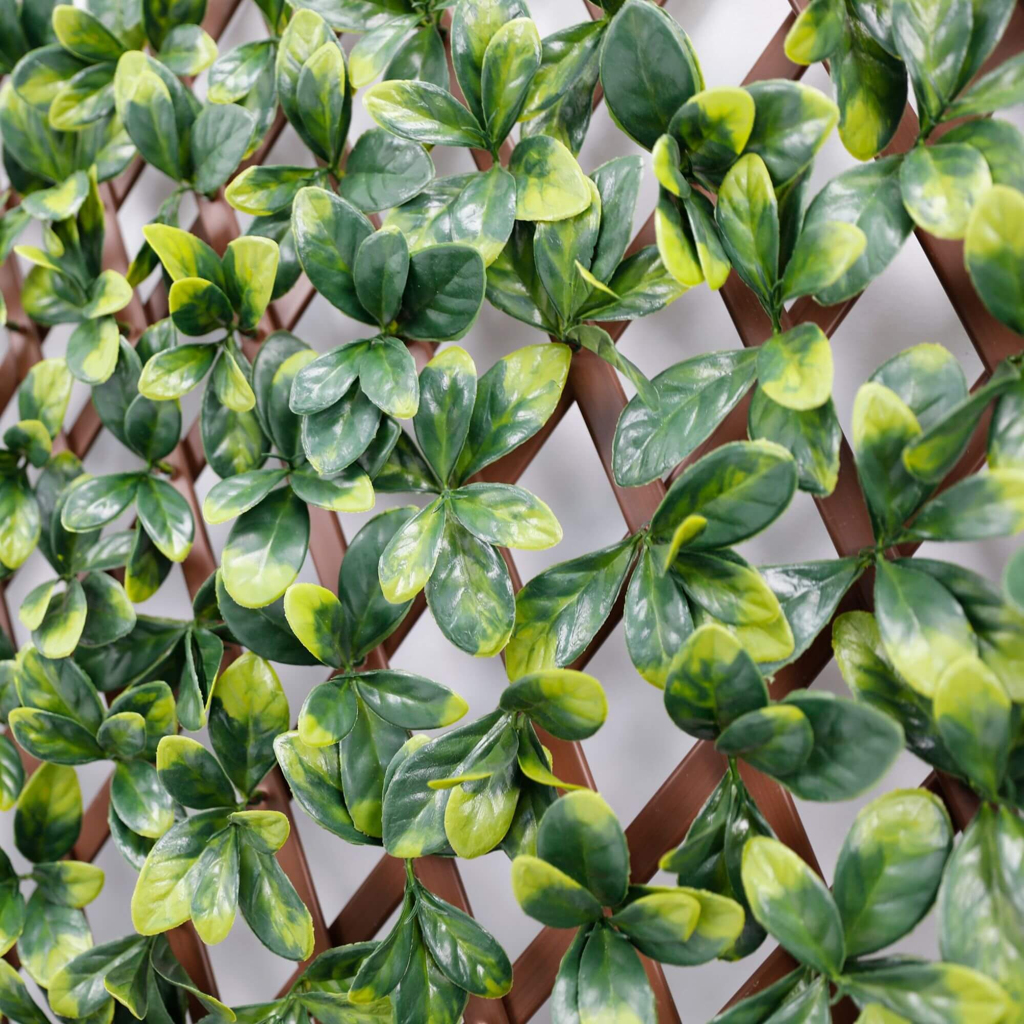 Expandable Faux Green Ligustrum Ficus Trellis Privacy Fence (Variable Size) UV Resistant 72