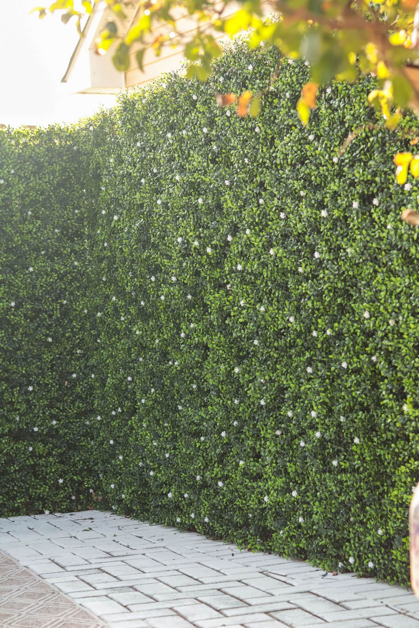 White Flowering Artificial Boxwood Wall 40