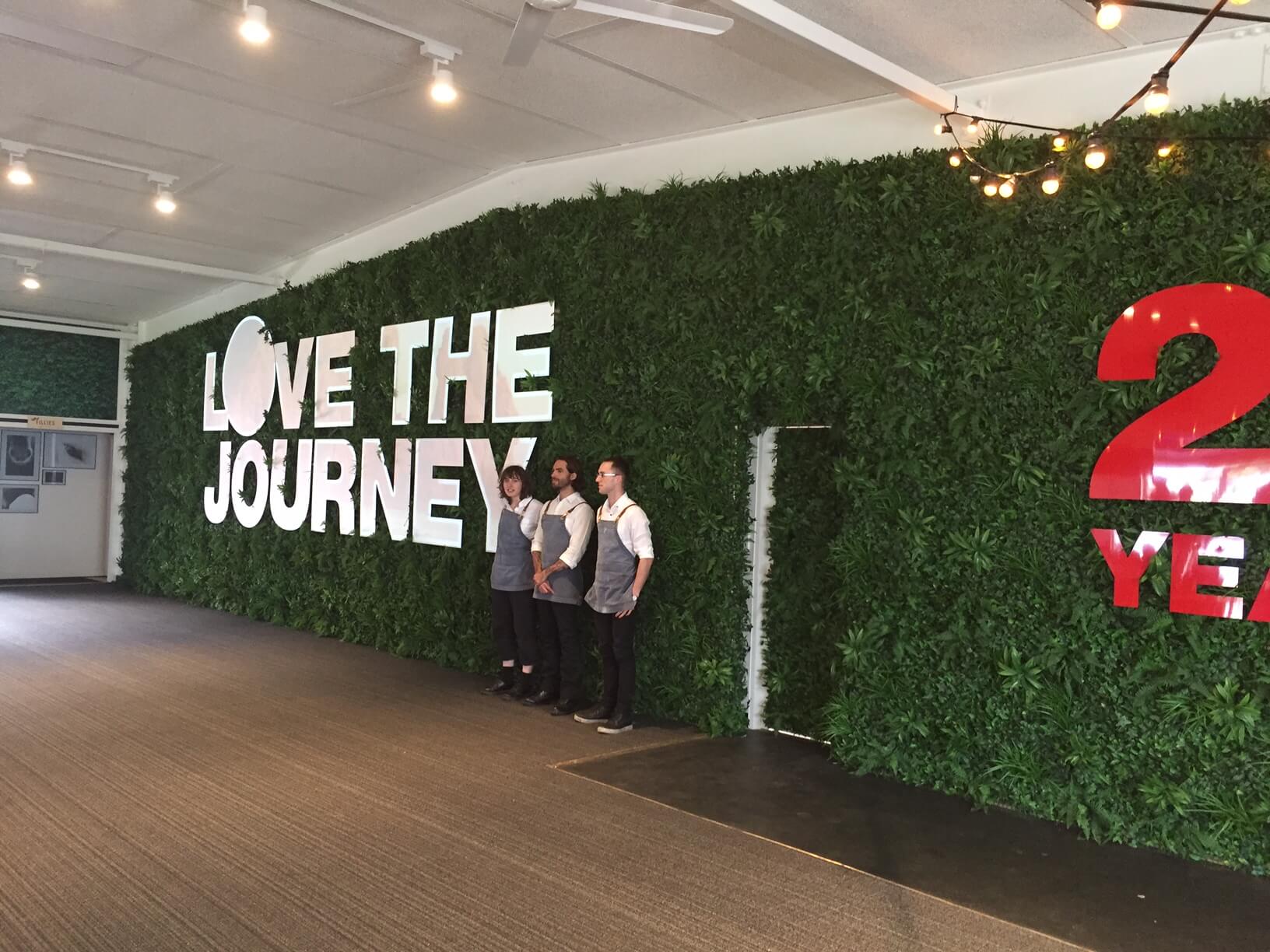 Luxury Green Tropics Artificial Living Wall /  Green Wall 40