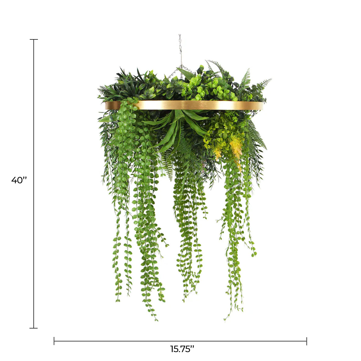 Imitation Premium Gold Artificial Hanging Green Wall Disc 15"  (Limited Edition)