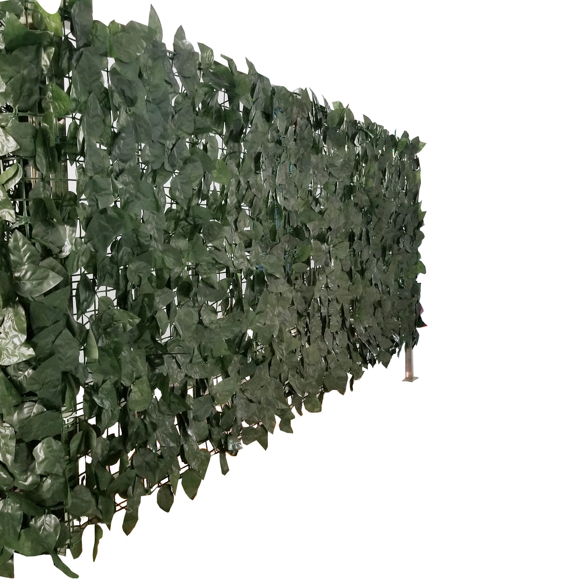 Artificial Privacy Ivy Roll 33 Square Foot / 118