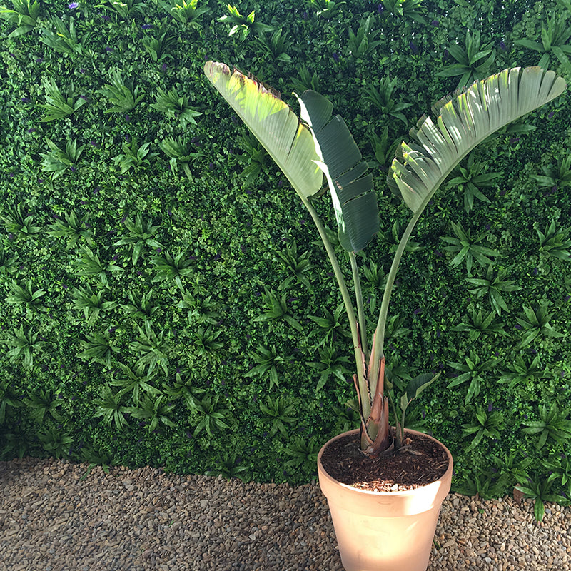 Luxury Lavender Fields Artificial Green Wall 40