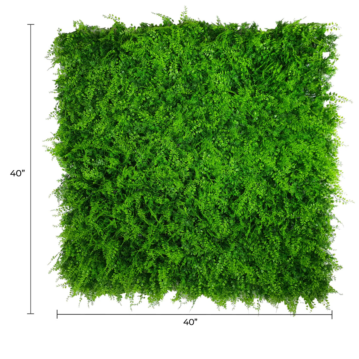 Lush Fern Artificial Green Wall 40