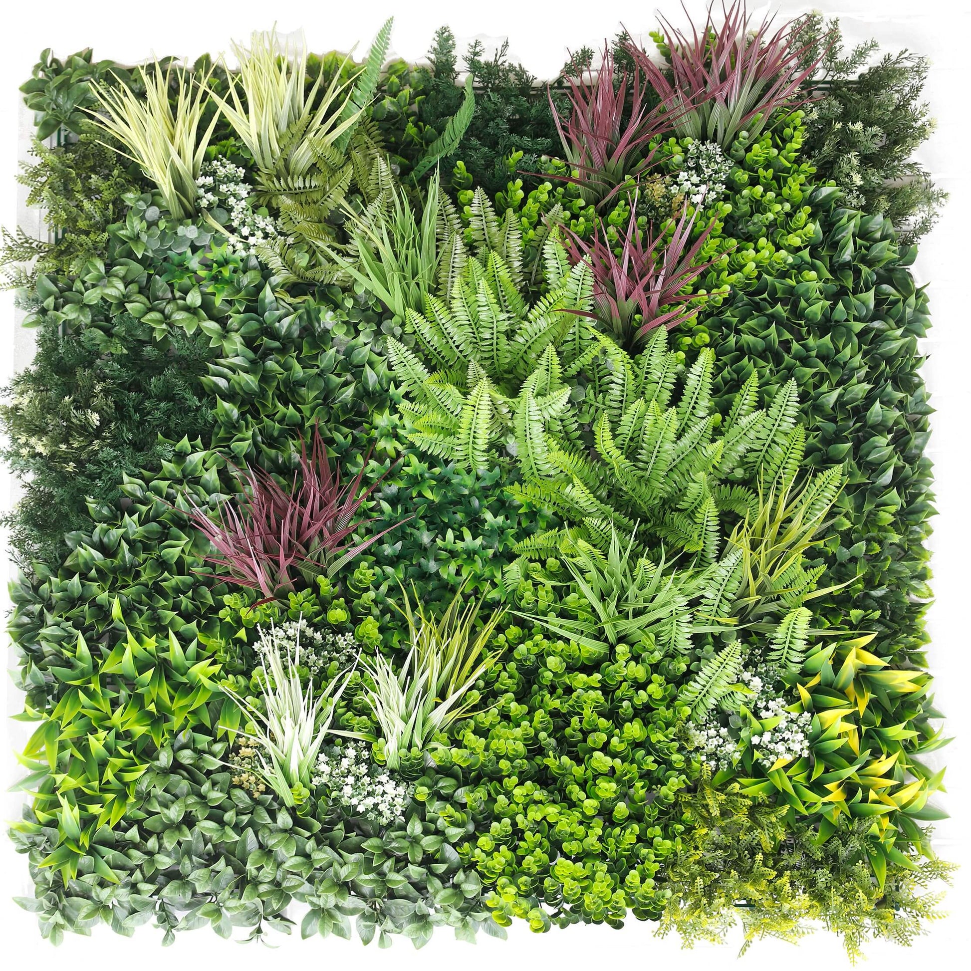 High quality artificial green wall panel with ferns and red grasses