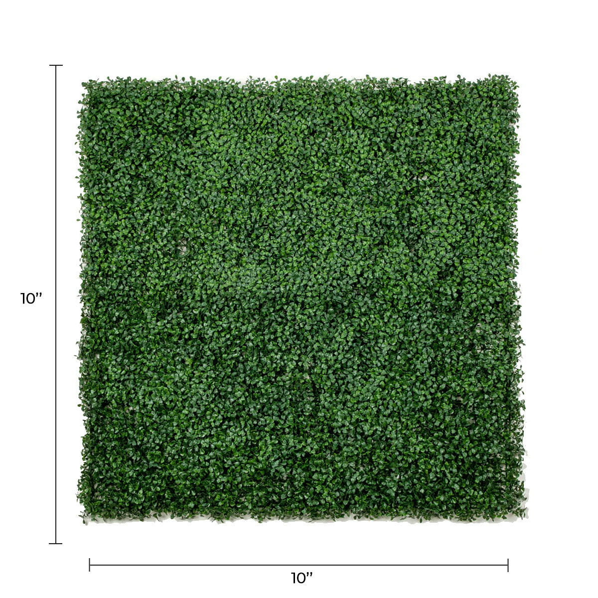 Sample Panel of Premium Dark Artificial Boxwood Wall (Small Sample) Commercial Grade UV Resistant