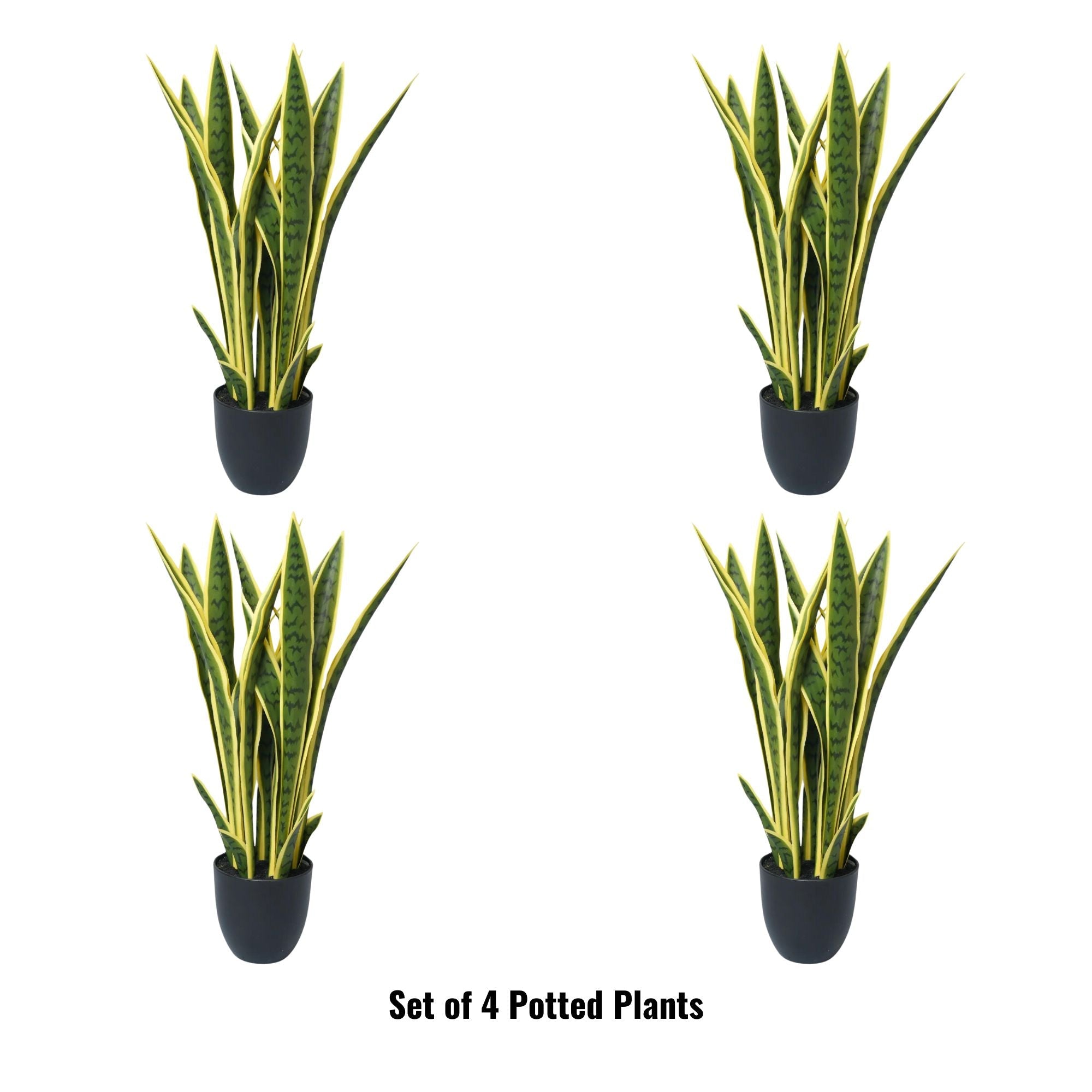 Set of 4 Artificial Yellow Tongue Plants (Snake Plant) - UV Resistant (Clearance)