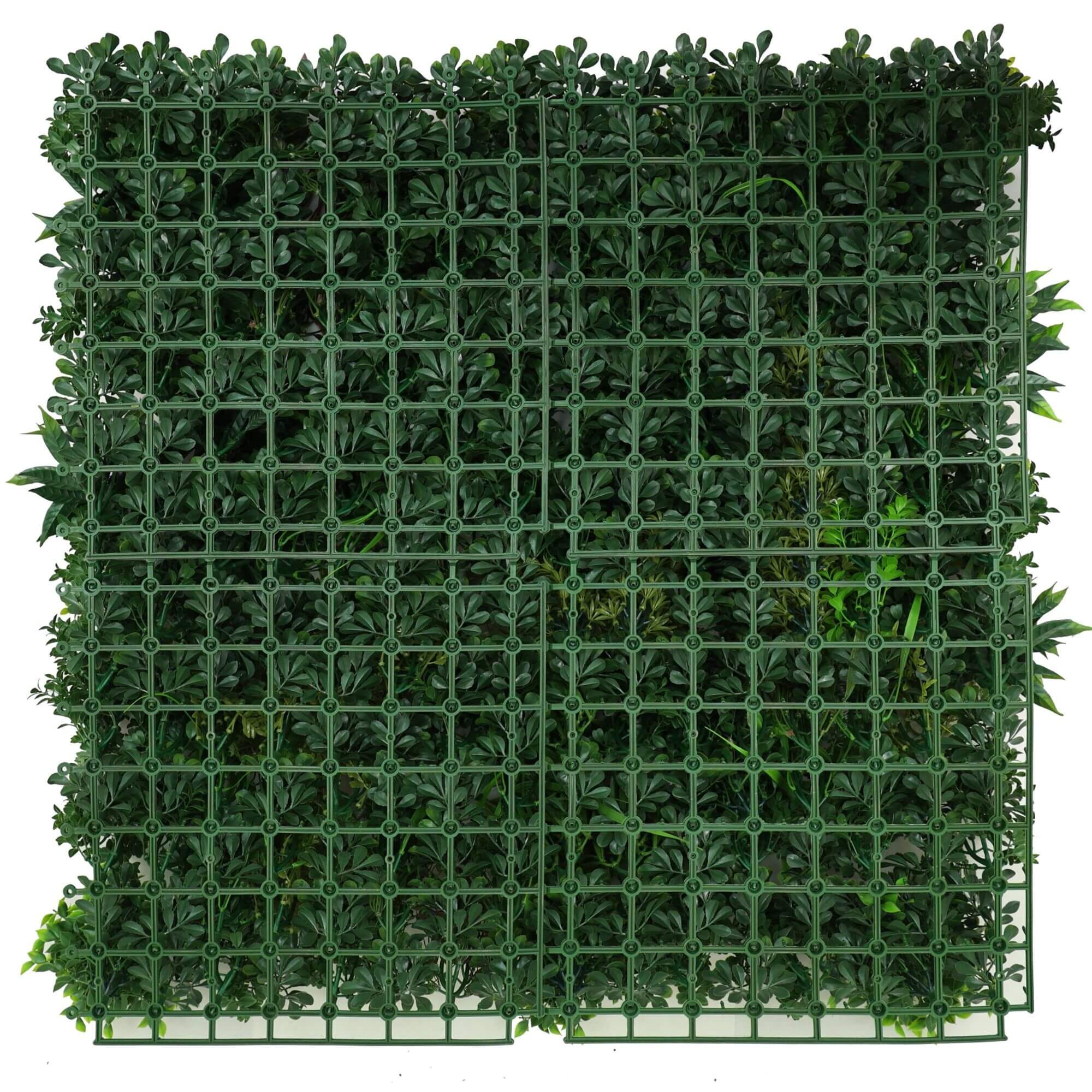 Ultra Luxury Amazon Jungle Vertical Garden 40